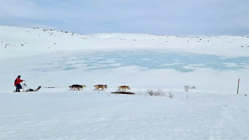 Das Camp in der Wildnis