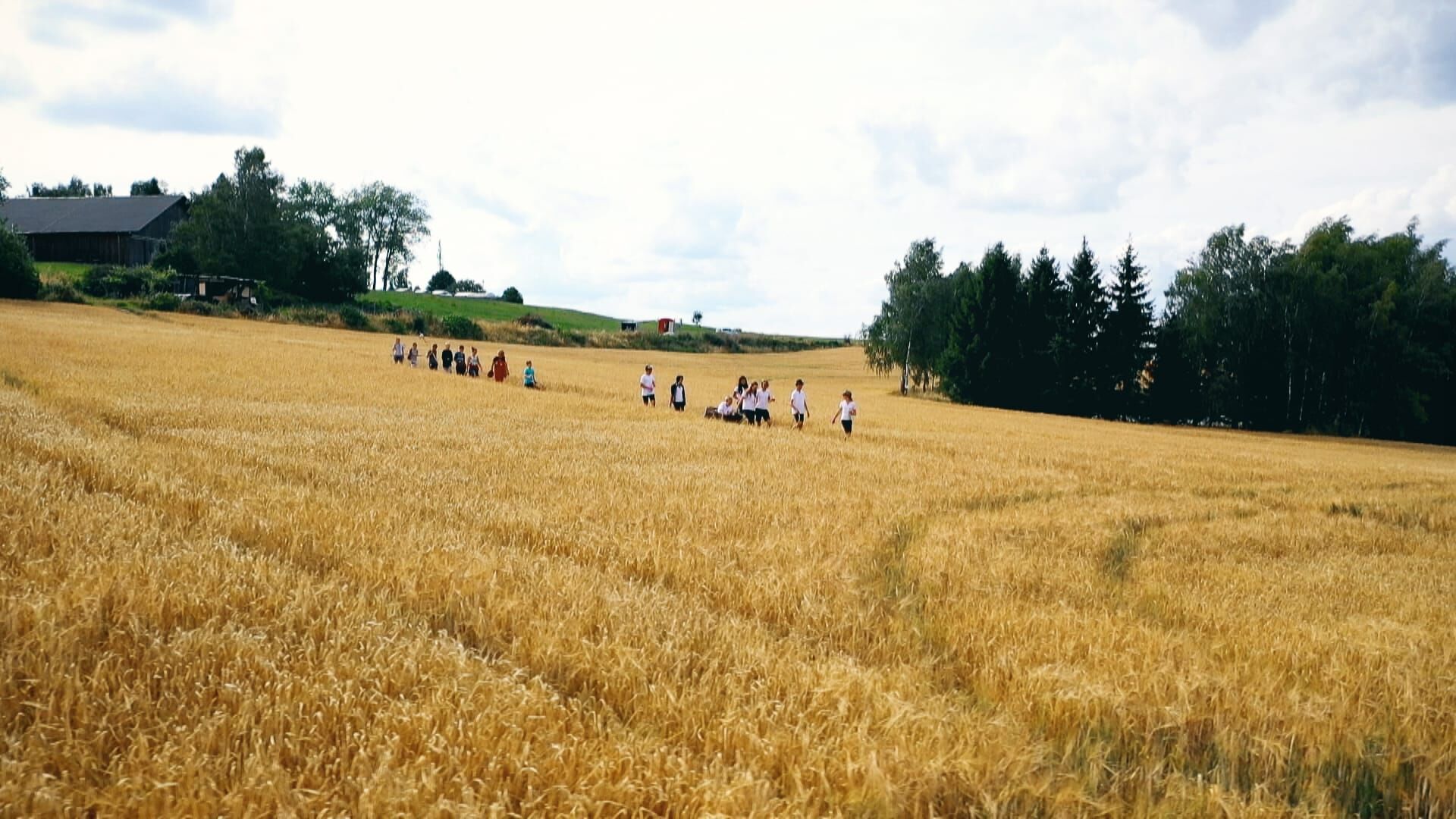 SommerCamp – Back To the Roots