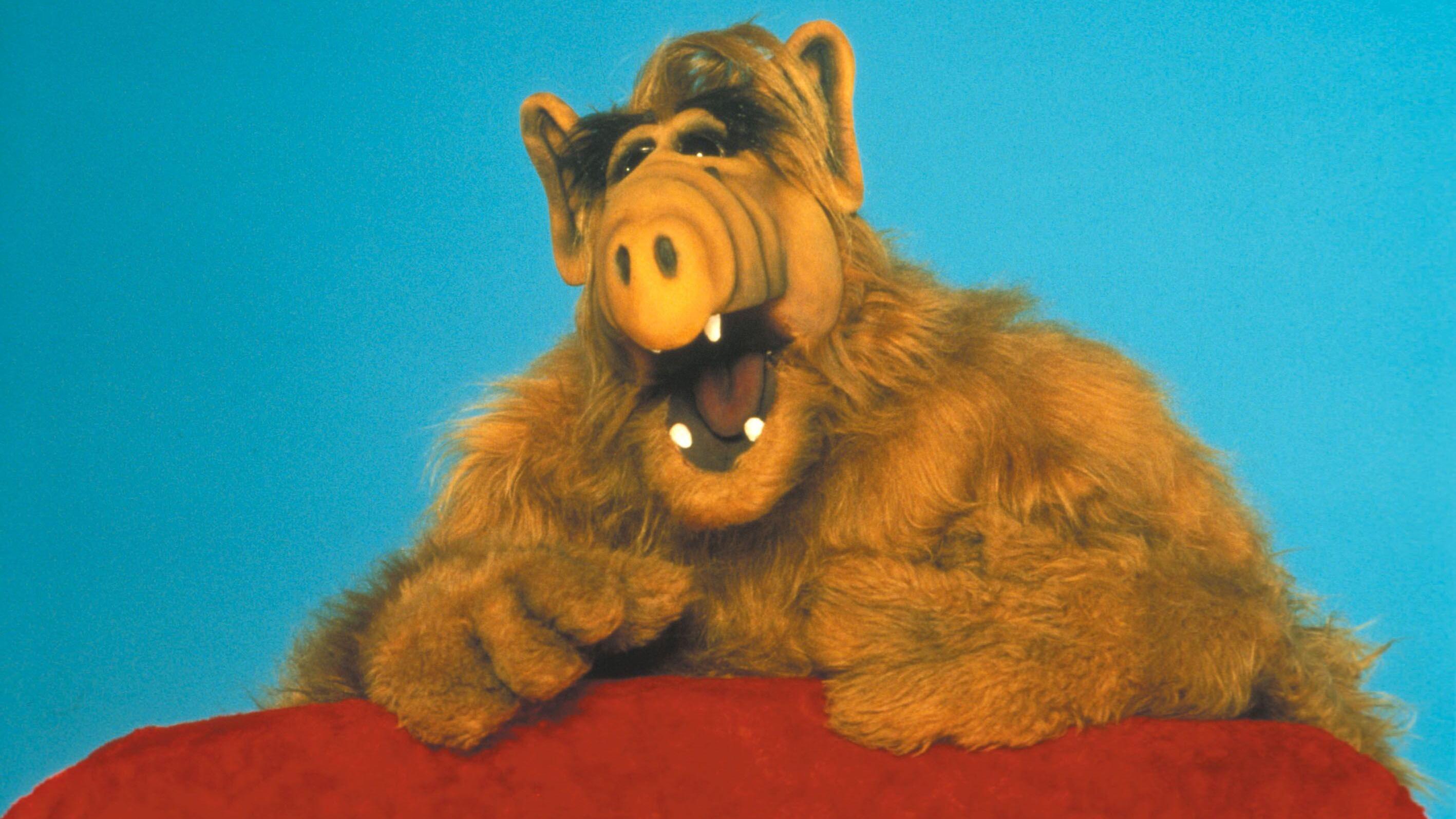 Alf