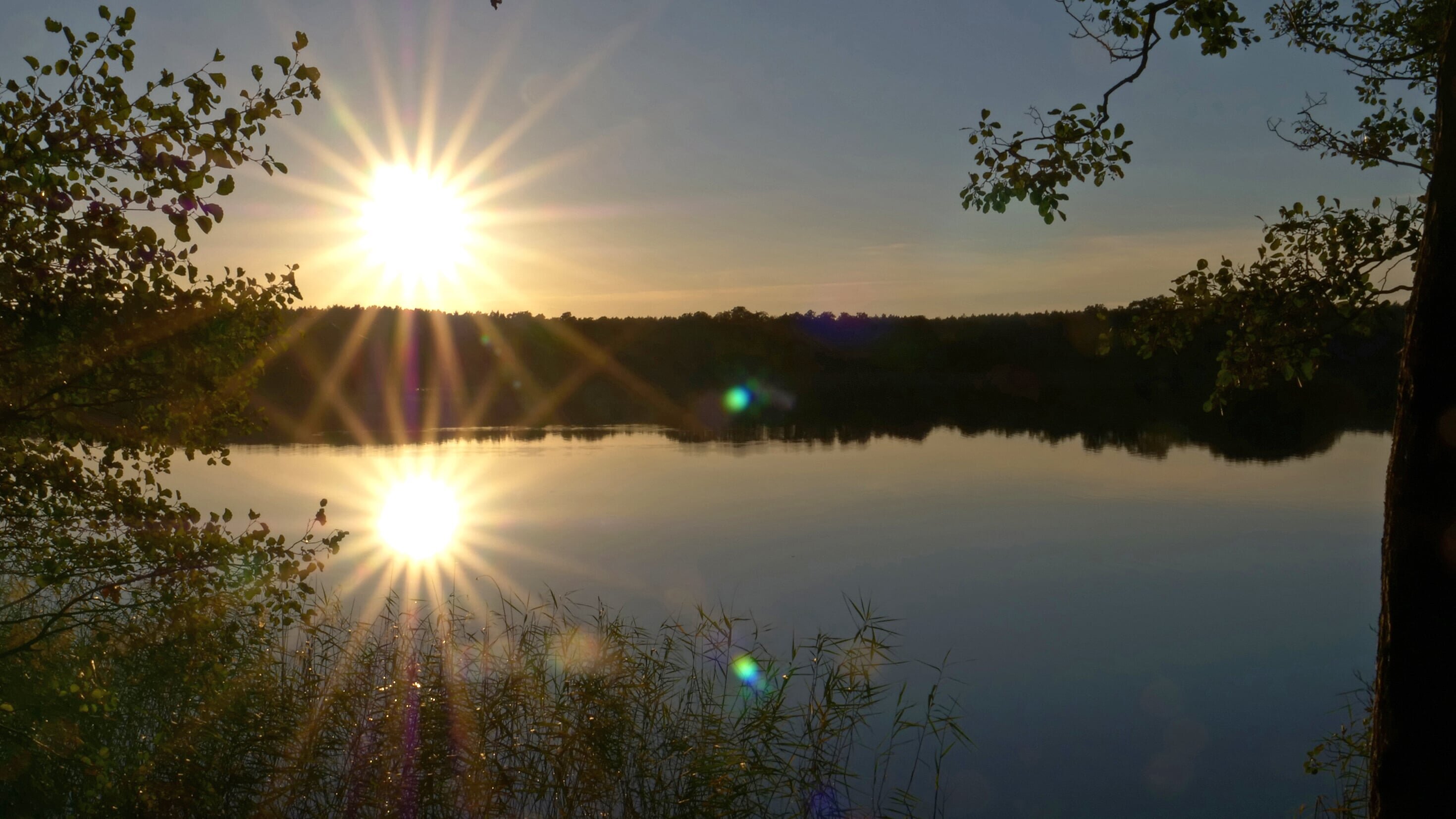 Mecklenburgs geheime Wasserwildnis – Die Feldenberger Seen