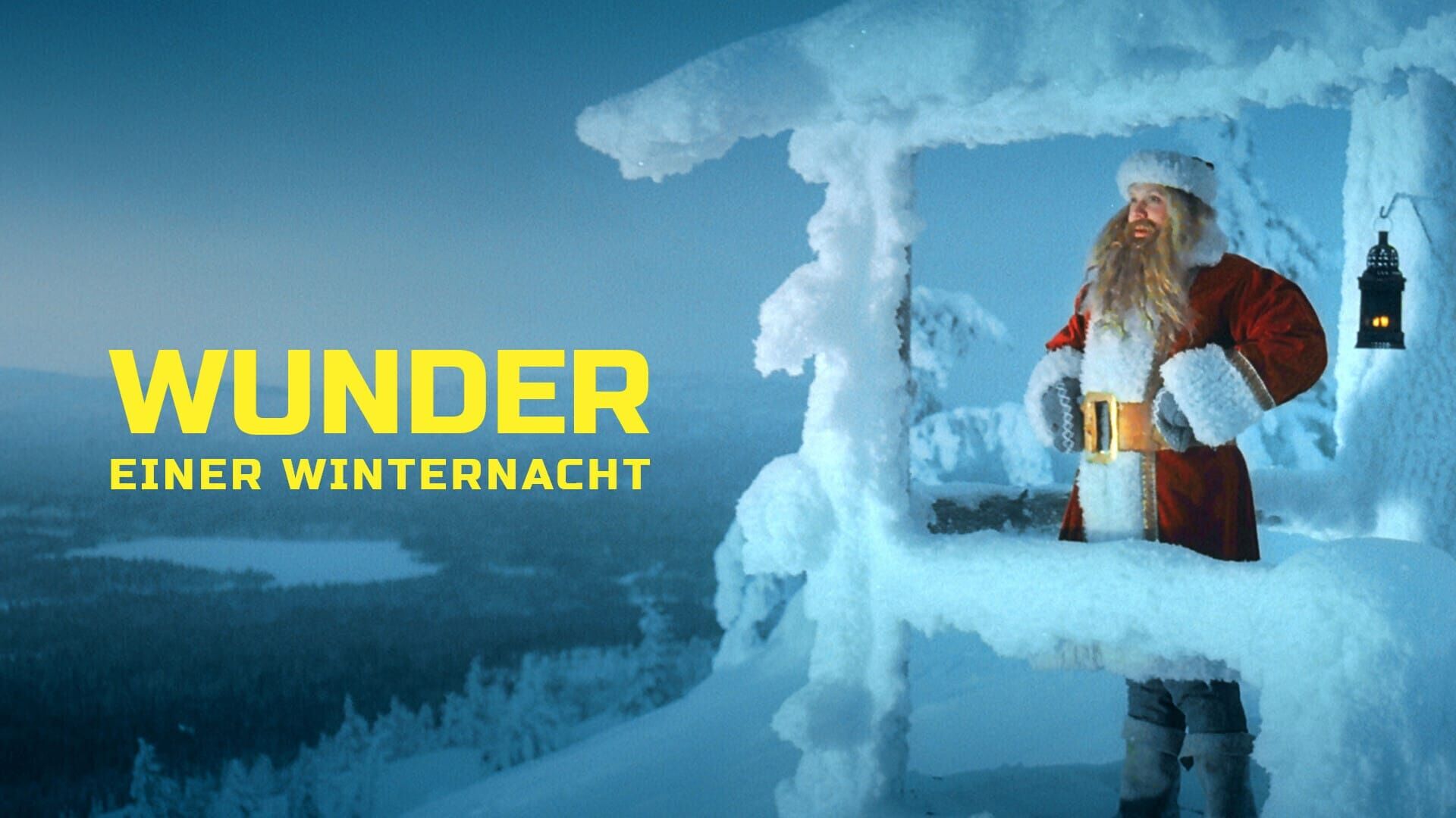 Wunder einer Winternacht