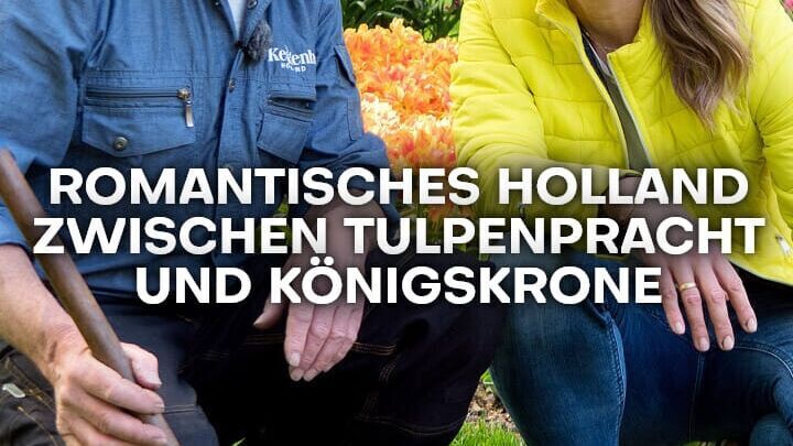 Romantisches Holland