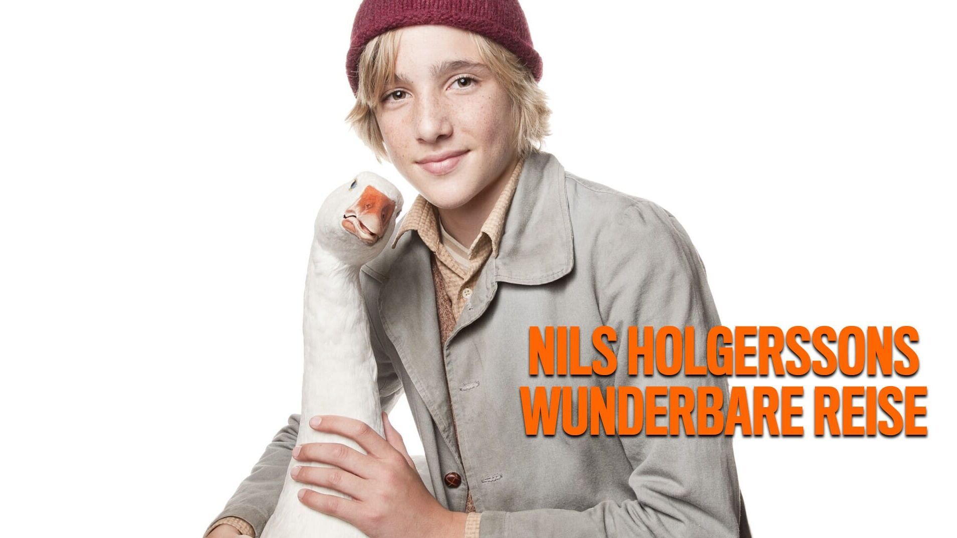 Nils Holgerssons wunderbare Reise