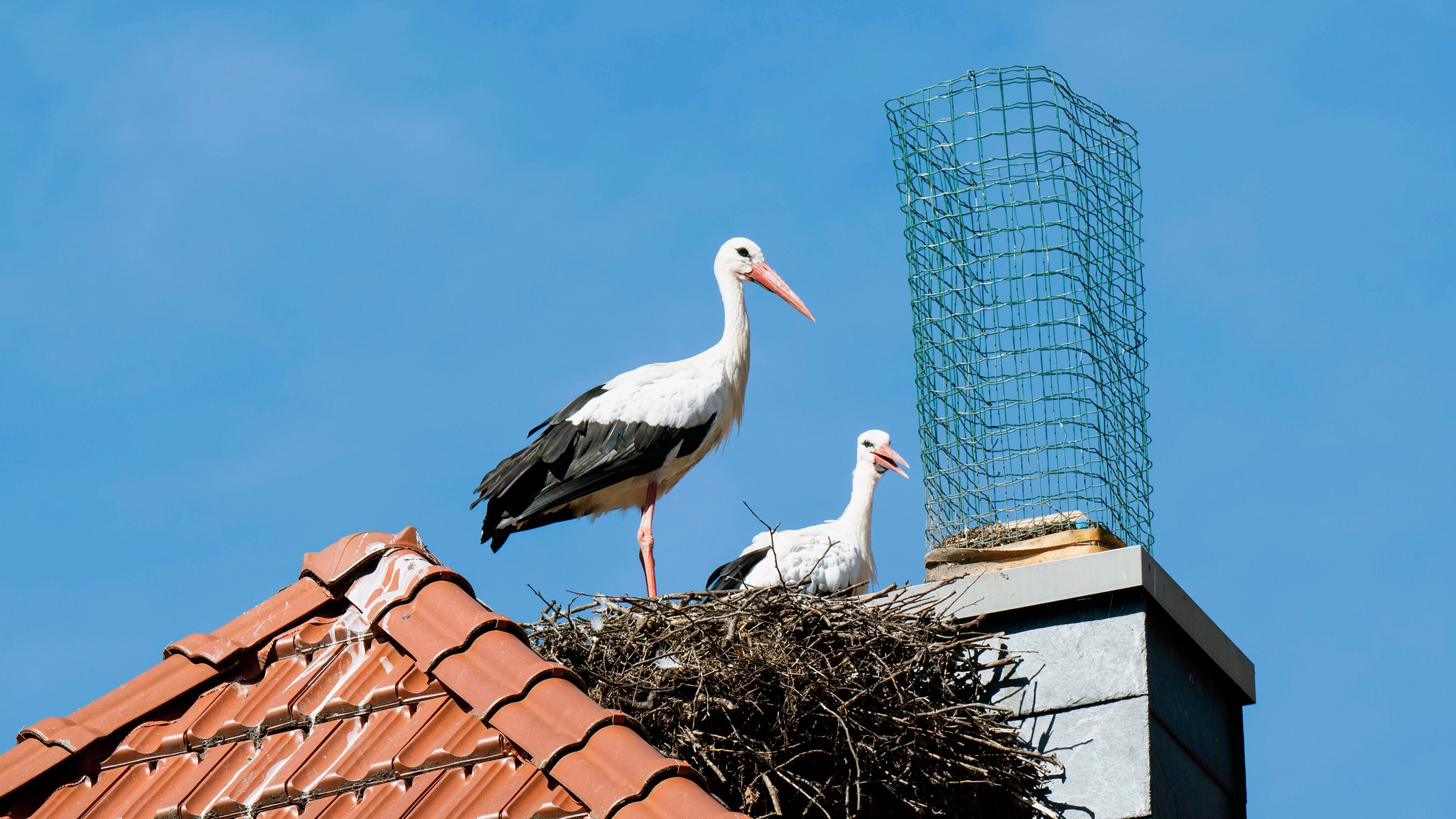 Hofgeschichten – Ackern zwischen Alpen und Ostsee