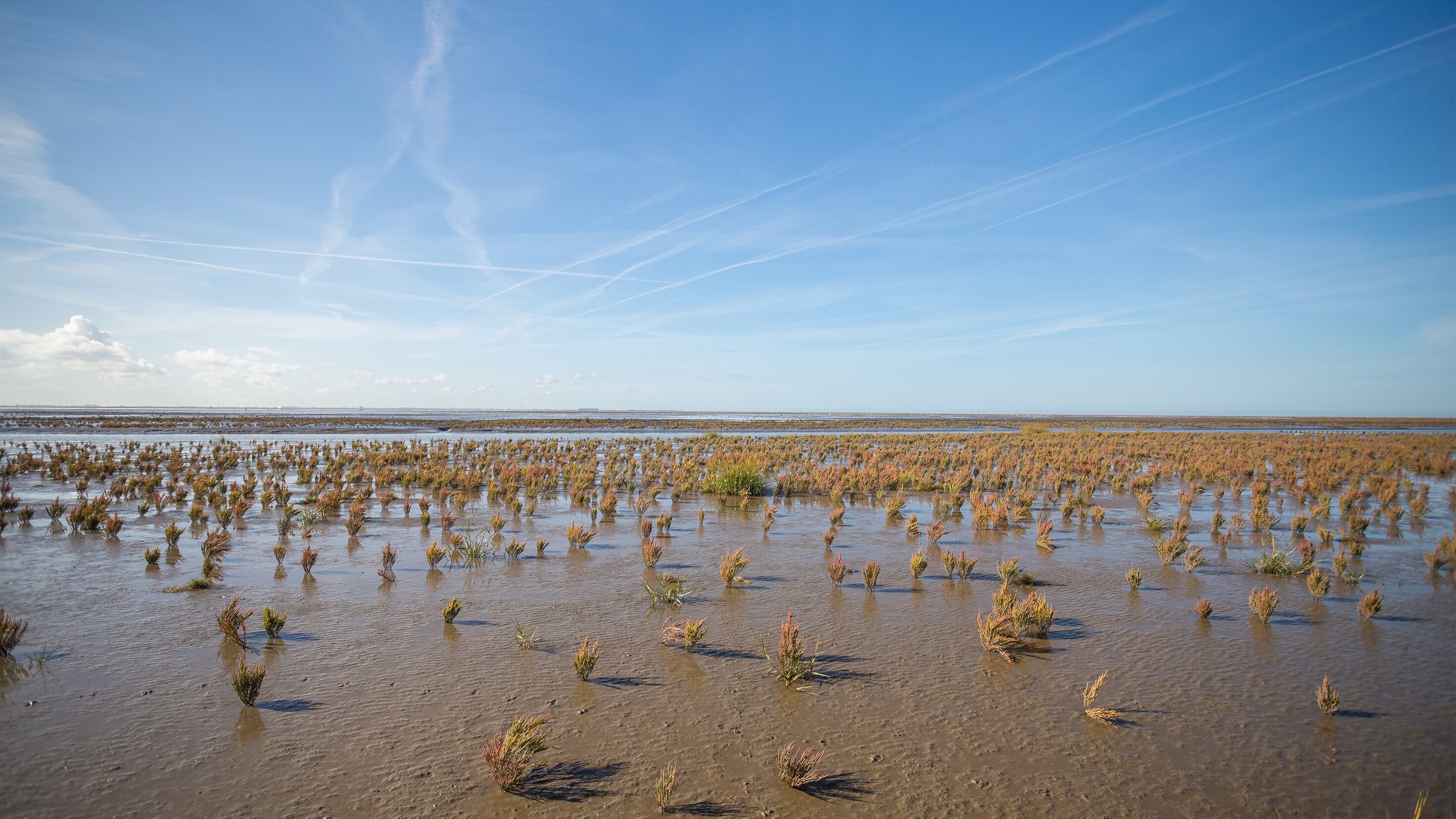 Unsere Meere – Naturwunder Nordsee