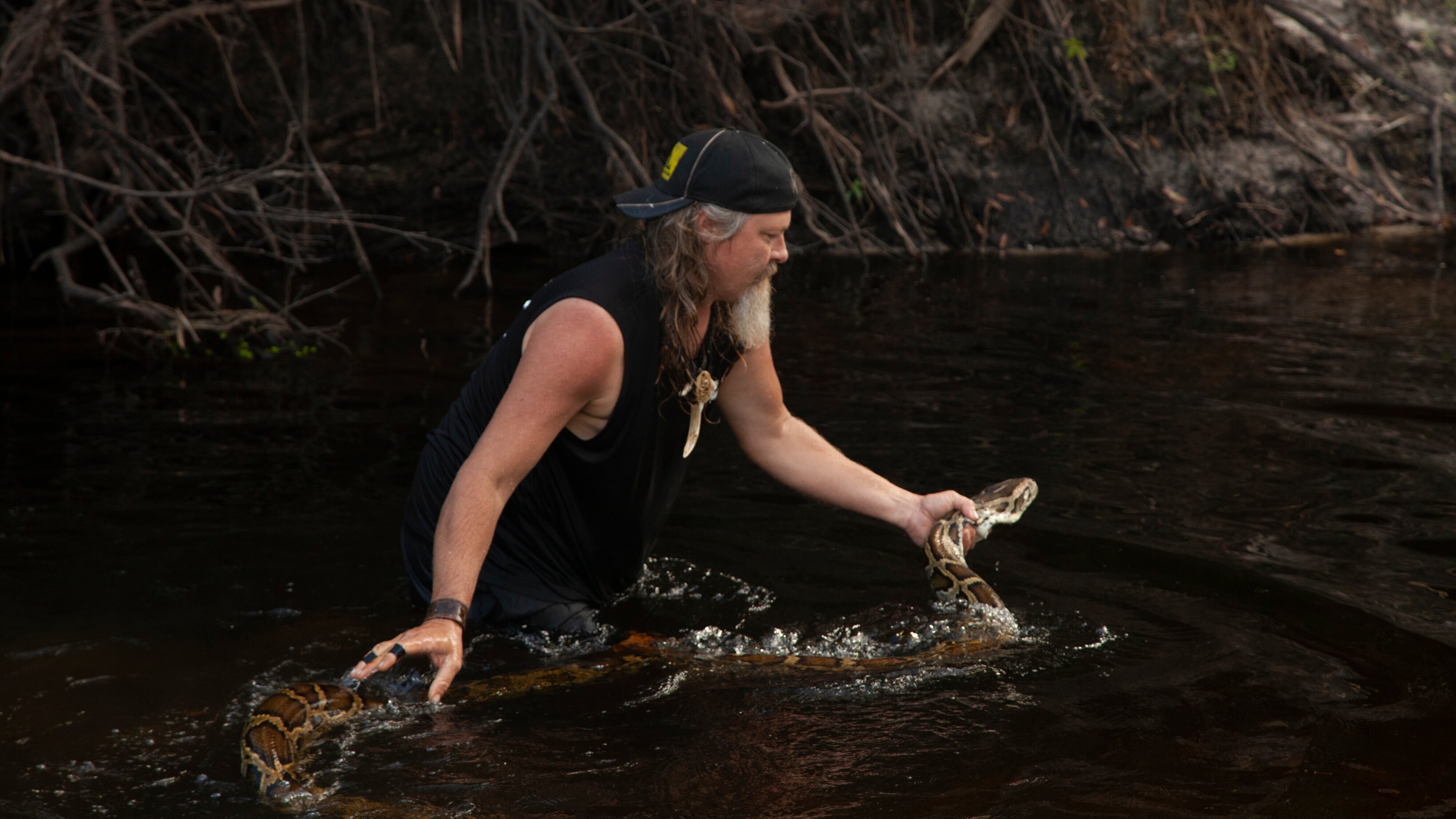 Die Pythonjäger – Einsatz in den Everglades