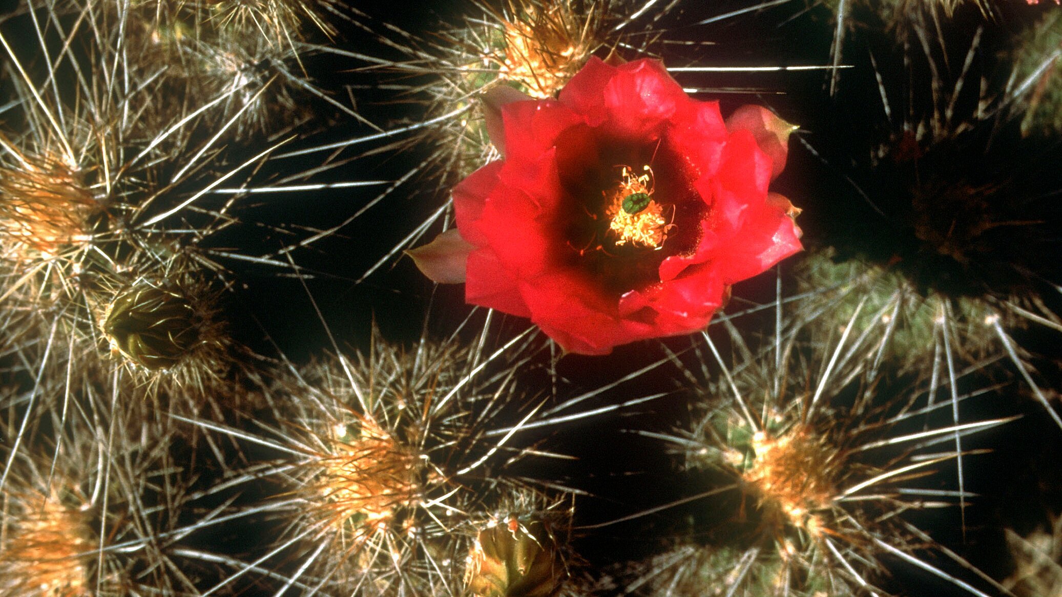 Baja California – Das andere Kalifornien