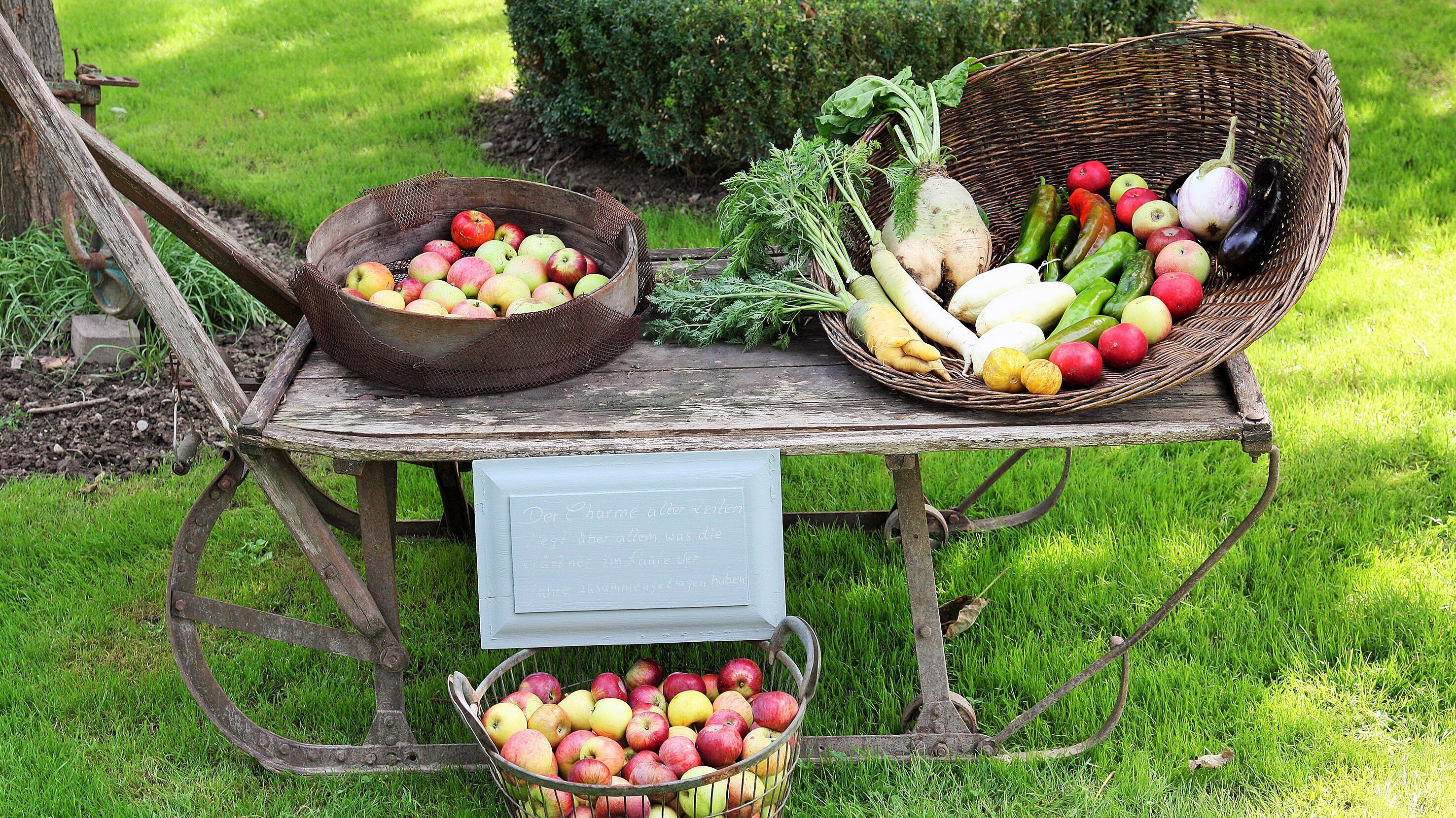 Mein leckerer Garten
