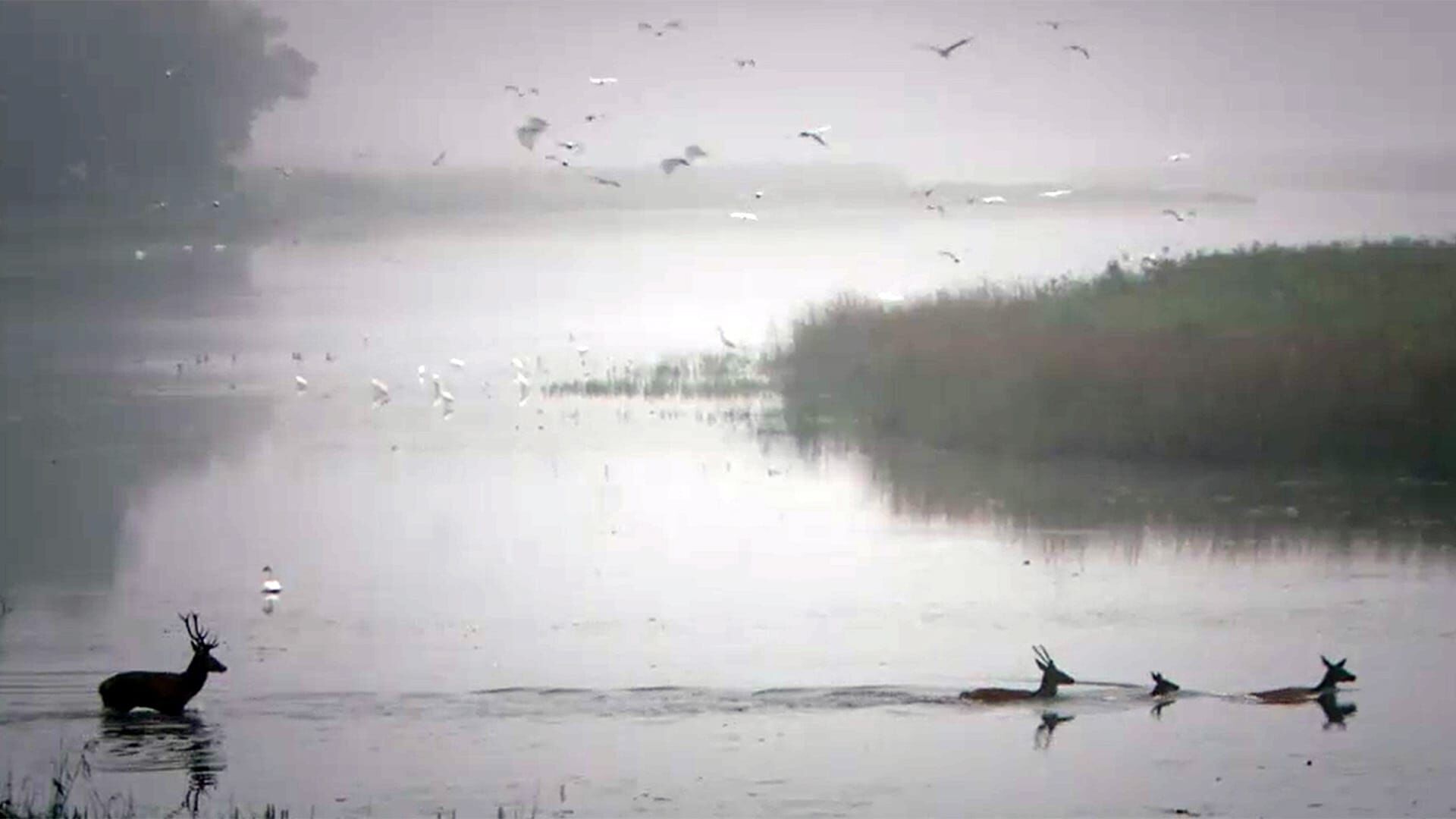 Nationalpark Donau-Auen