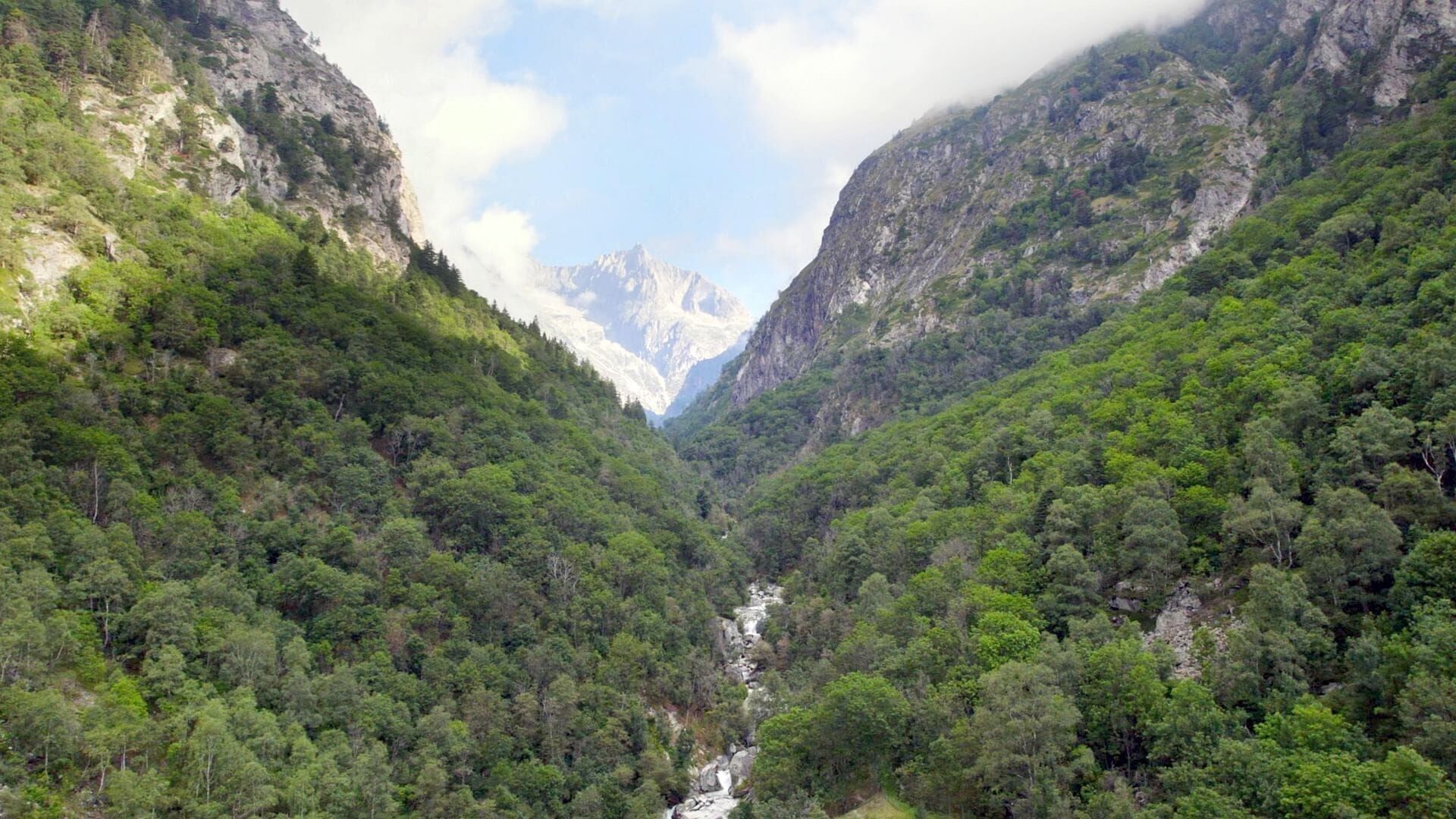 Wilde Schweiz: Jungfrauregion