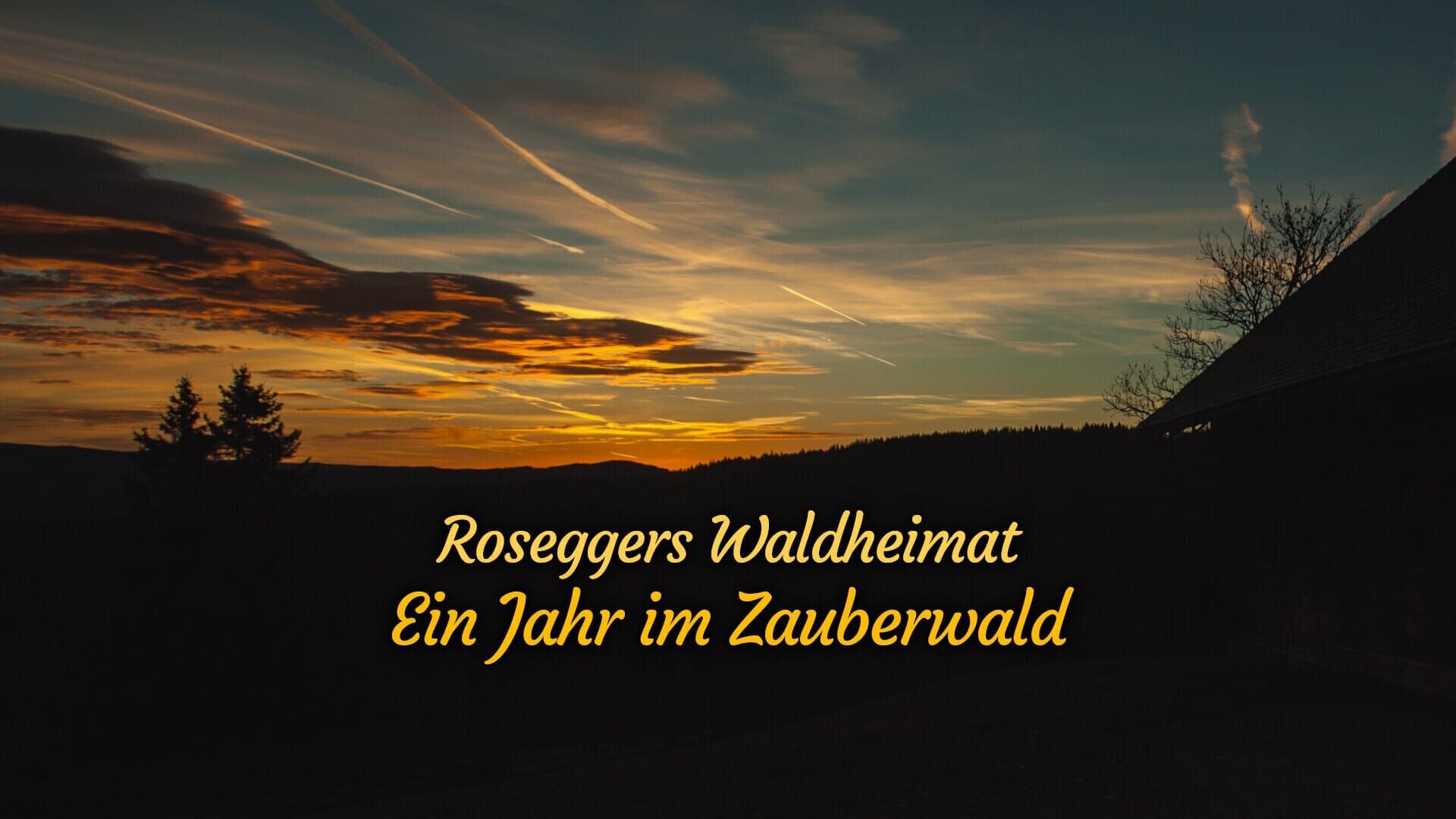 Roseggers Waldheimat – Ein Jahr im Zauberwald