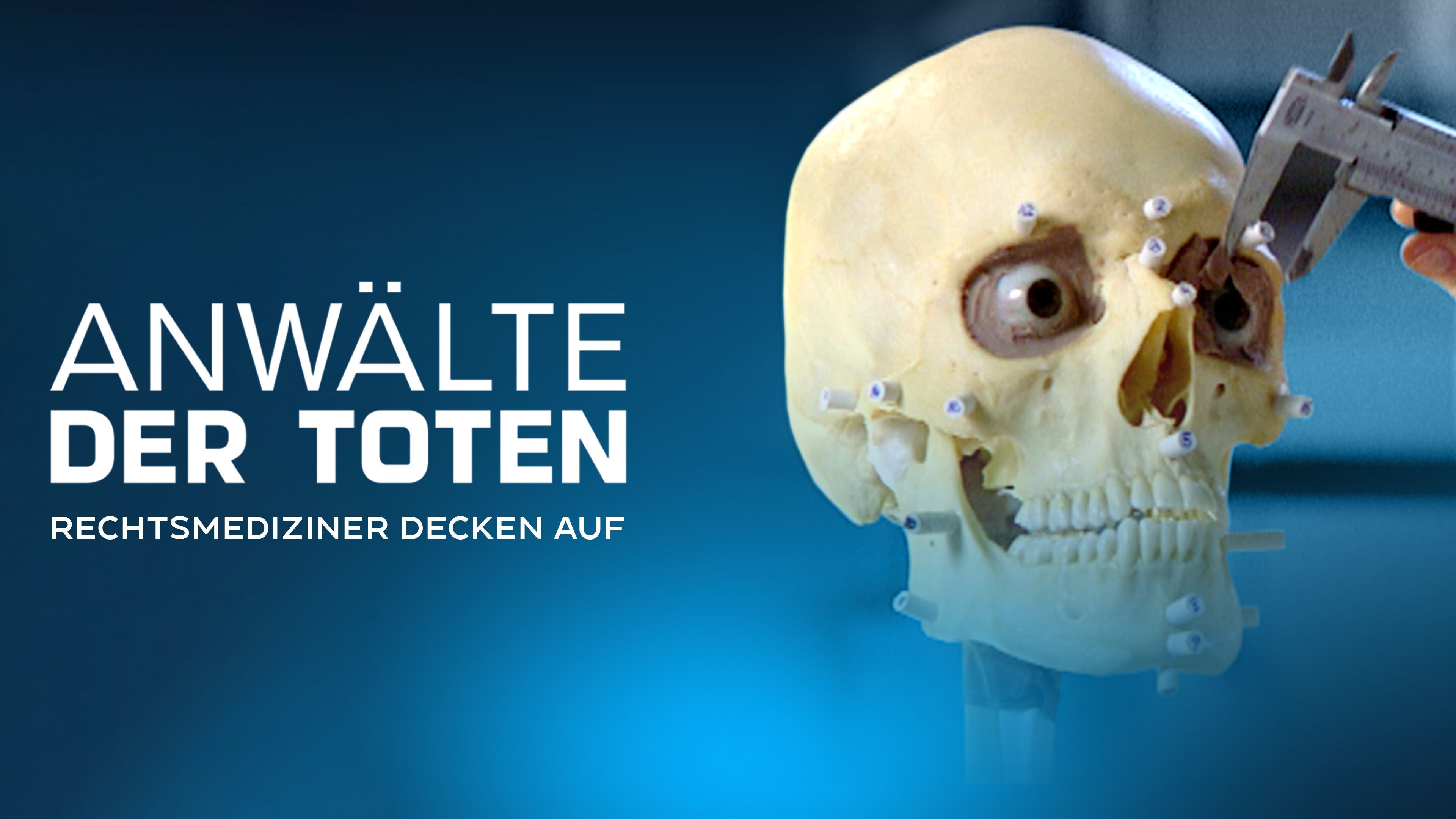 Anwälte der Toten – Rechtsmediziner decken auf