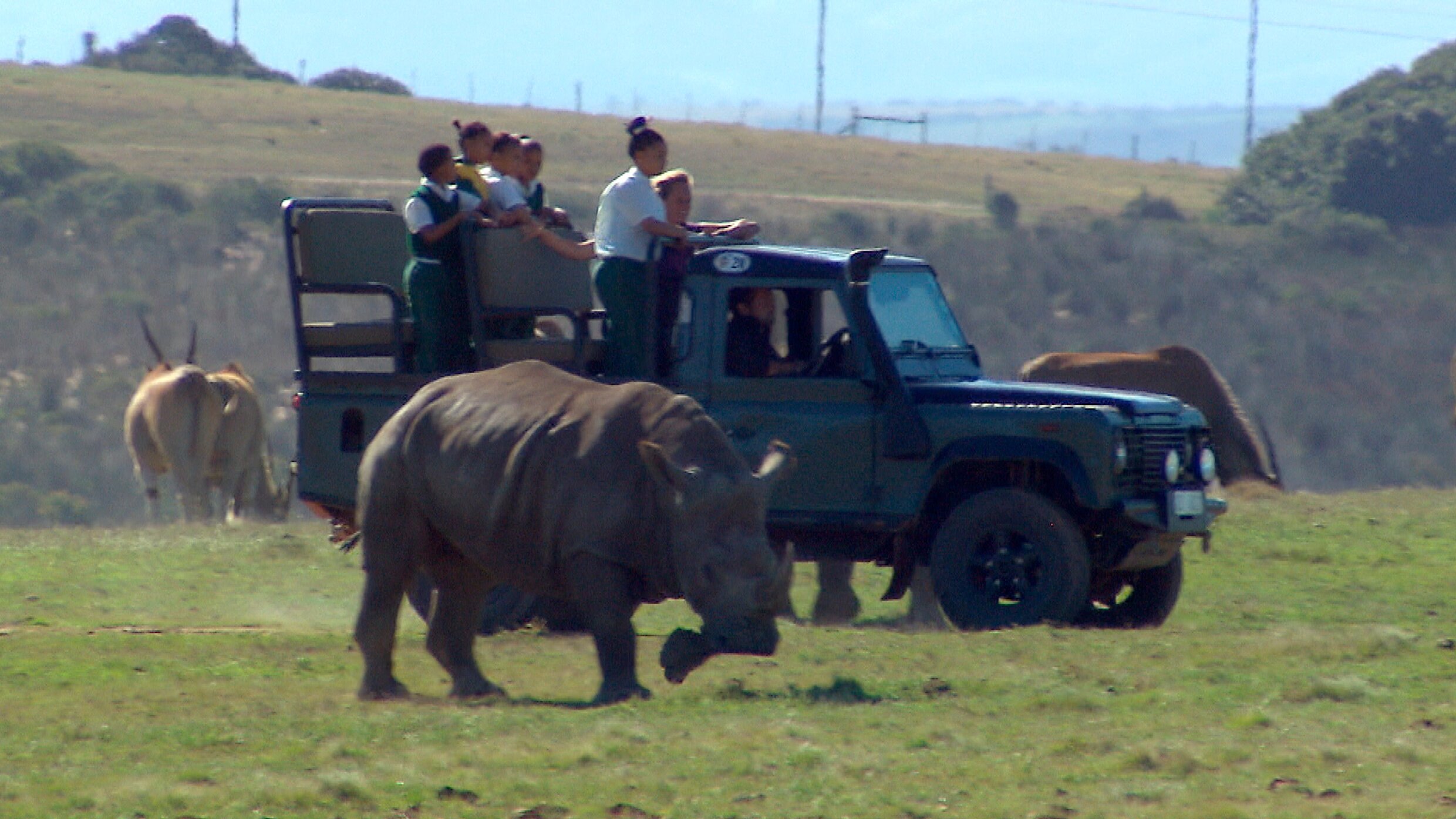 Am Kap der wilden Tiere