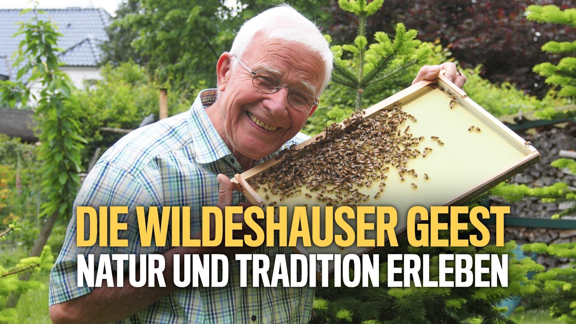 Die Wildeshauser Geest