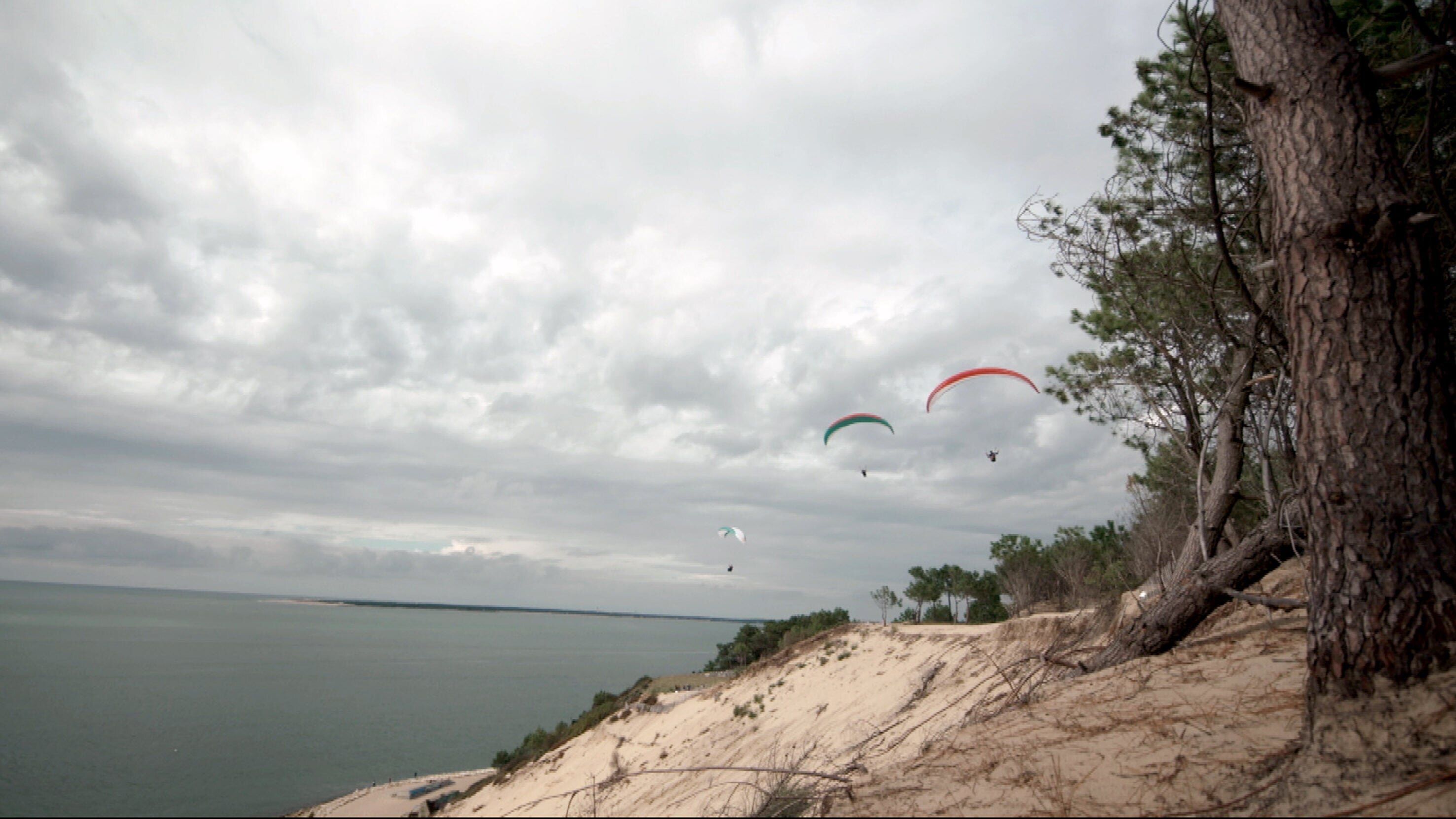 Die wundersame Welt der Gironde