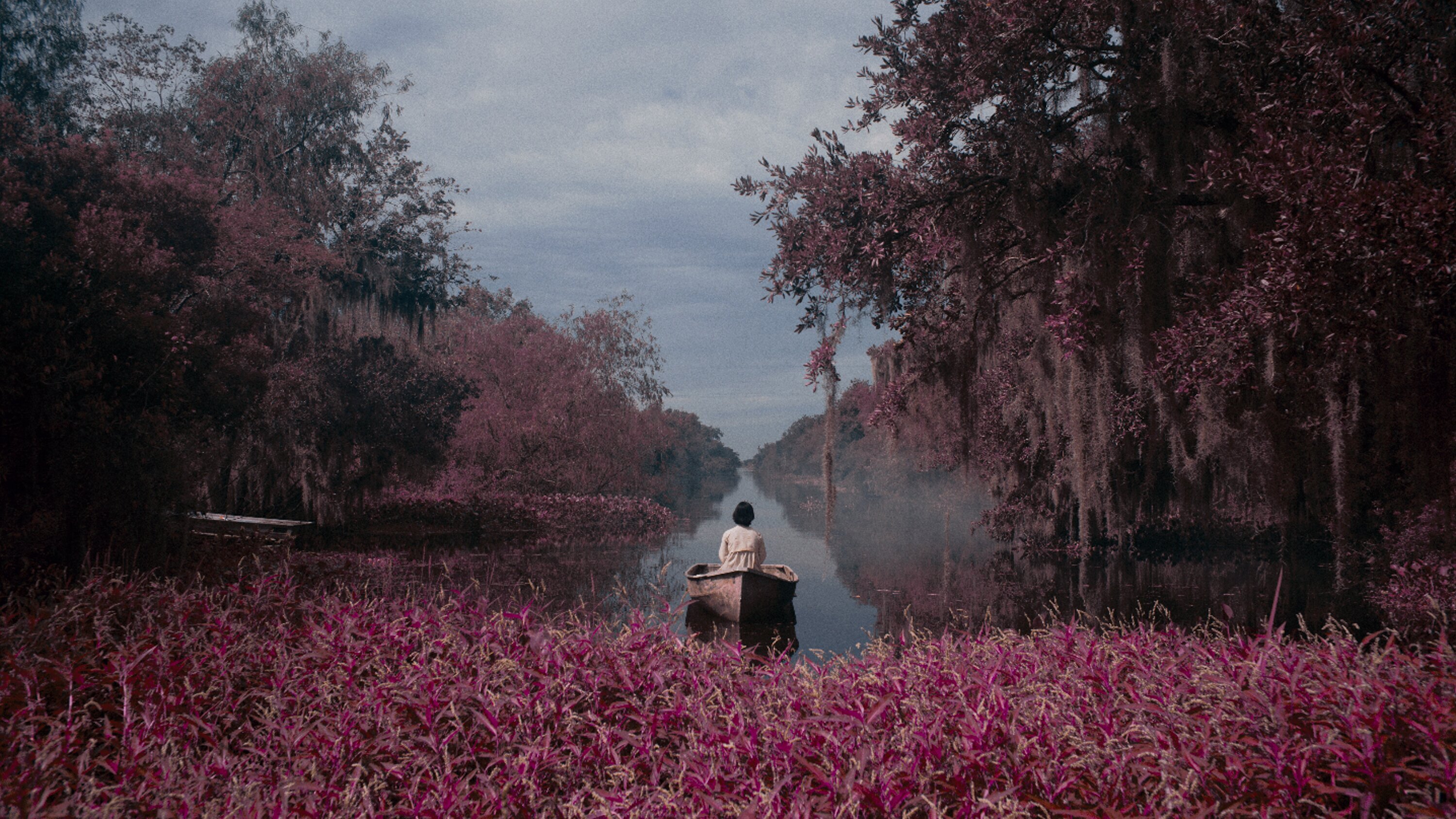 Blue Bayou