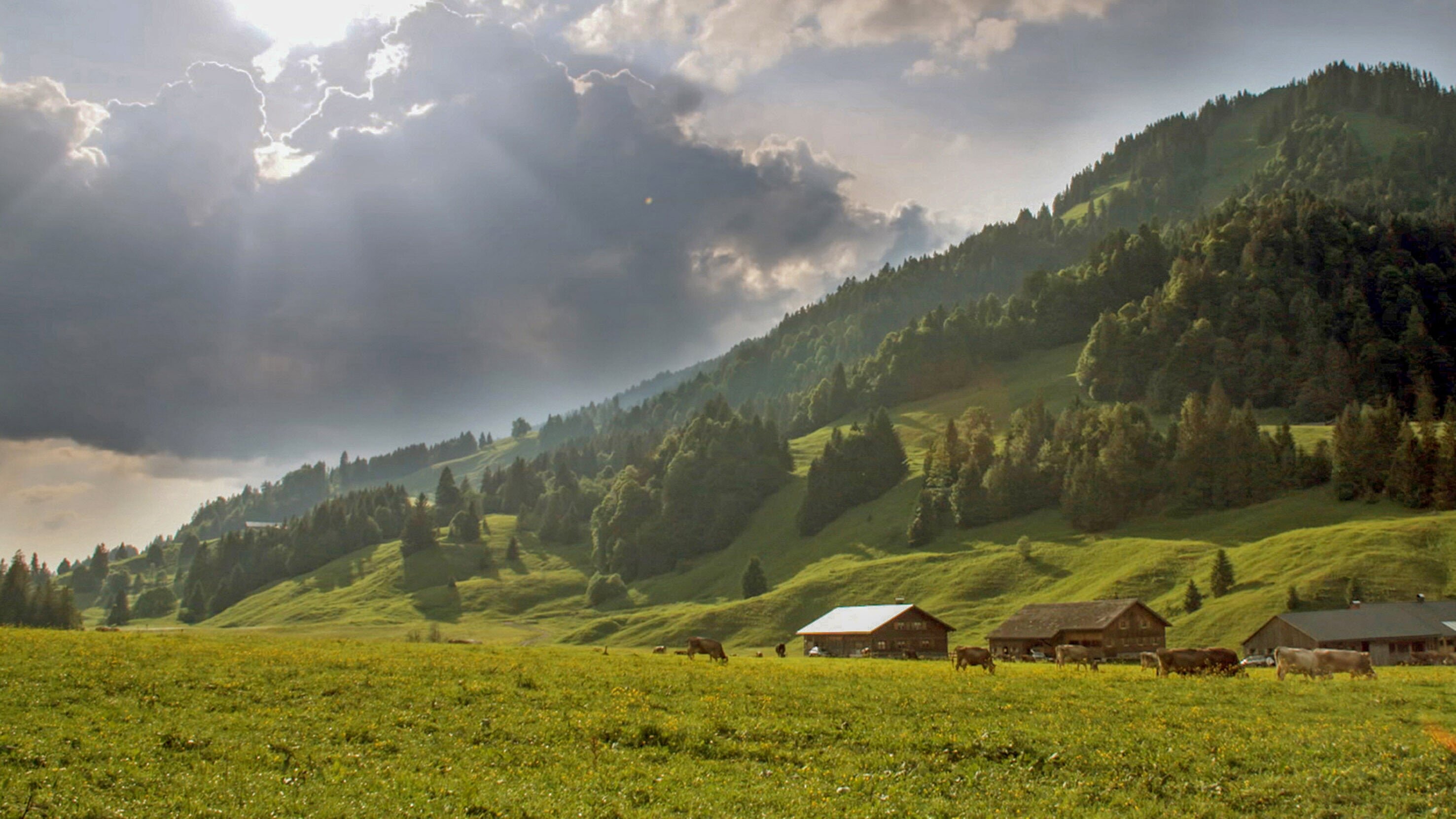 Heimat in den Alpen