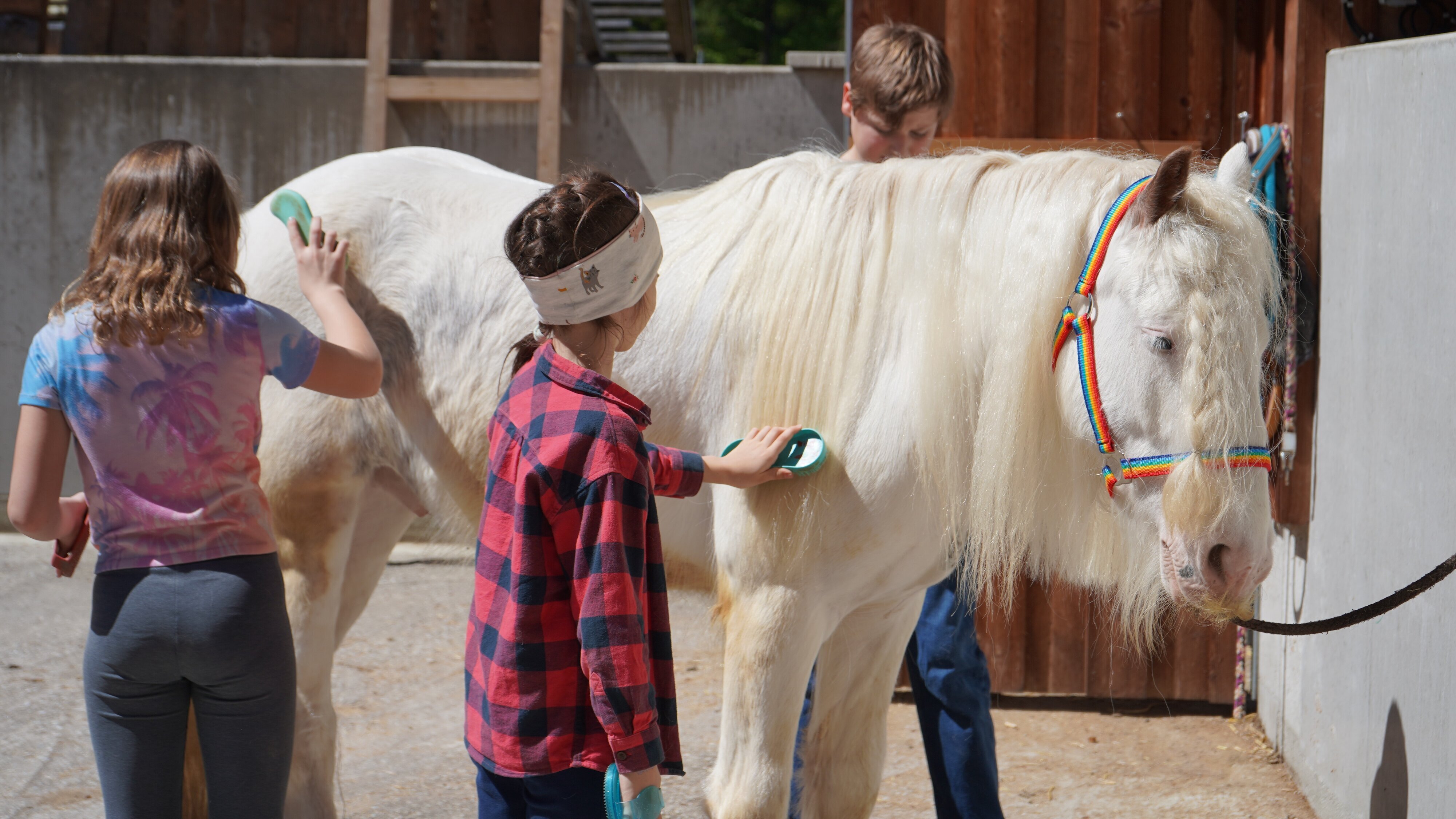 Beste Freunde – das Tiermagazin mit Andrea Schlager