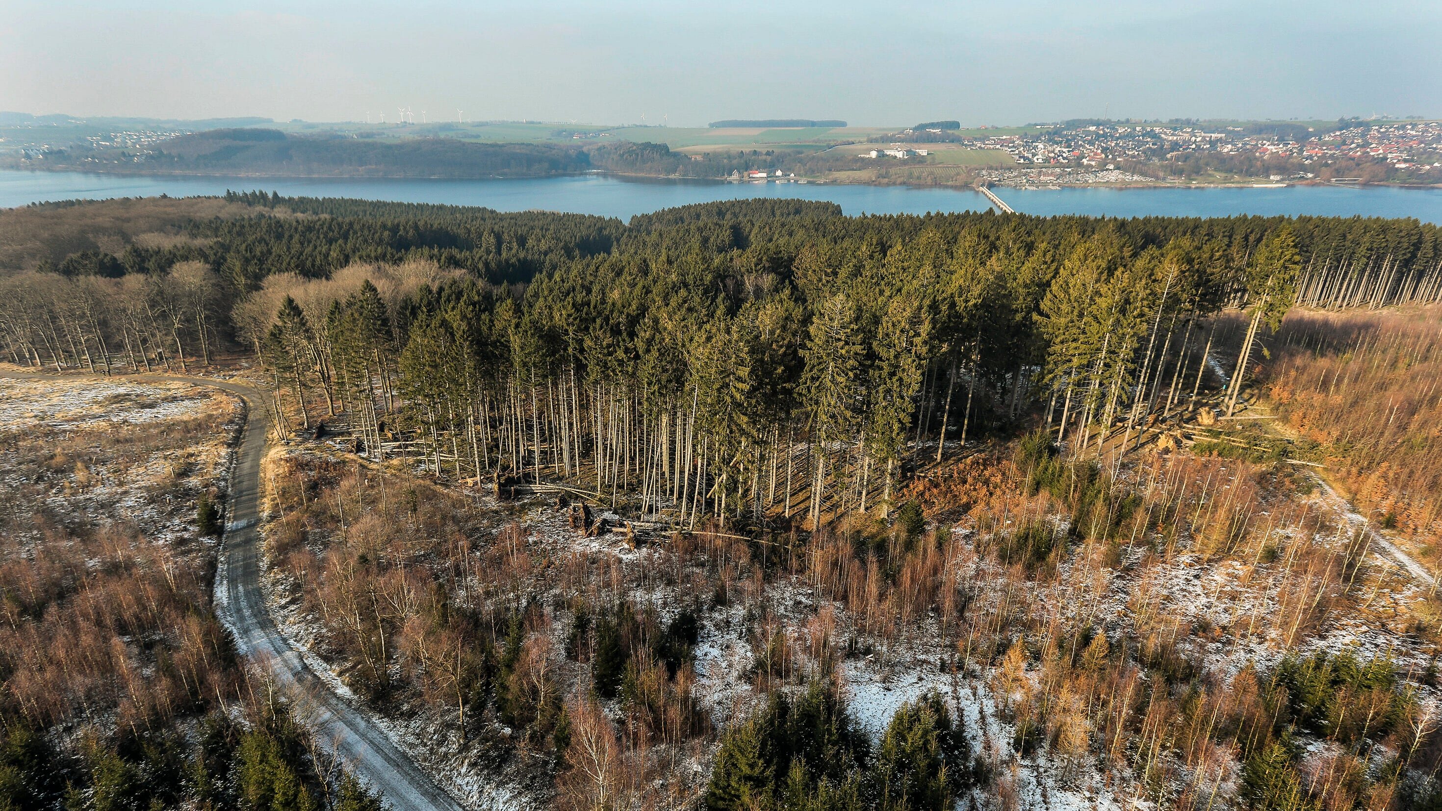 Der Arnsberger Wald im Winter