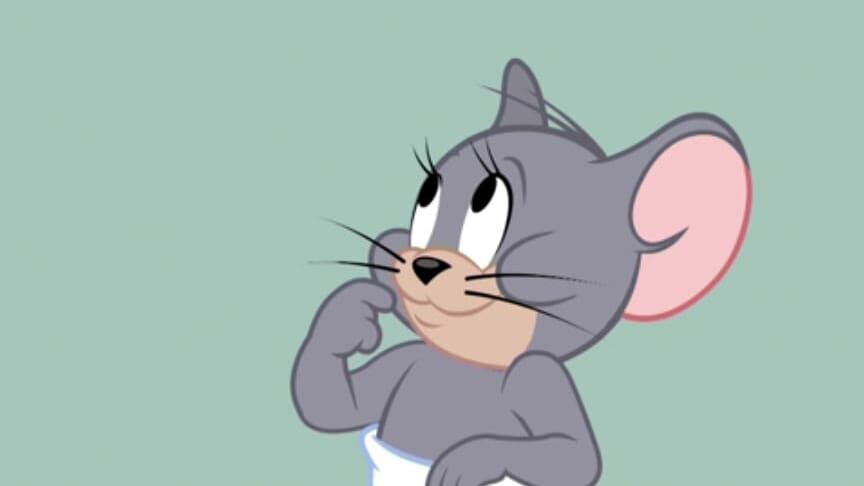 Die Tom und Jerry Show