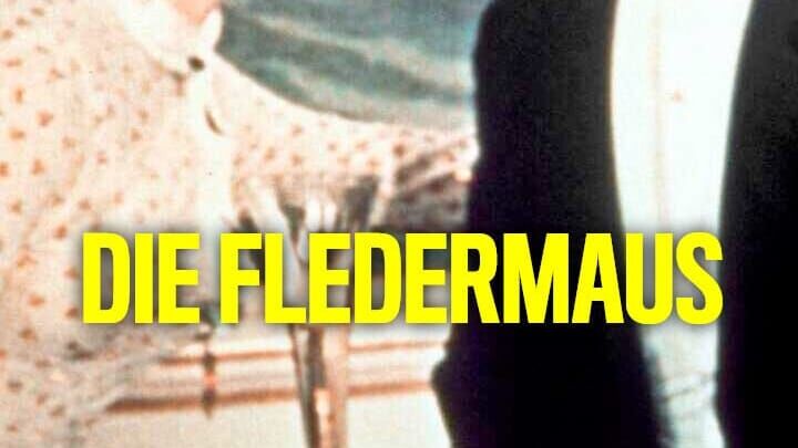 Die Fledermaus