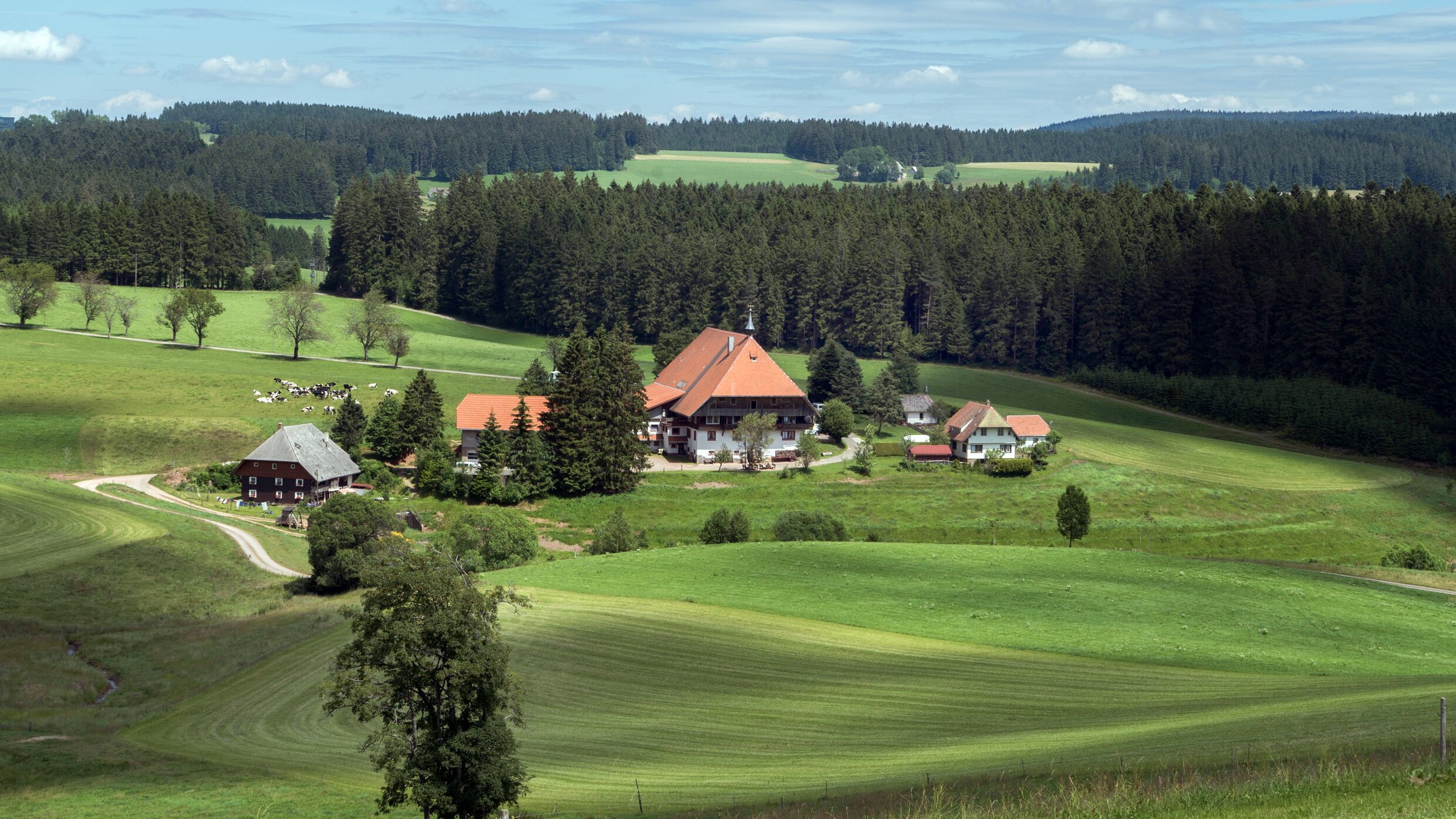 Die Fallers – Eine Schwarzwaldfamilie