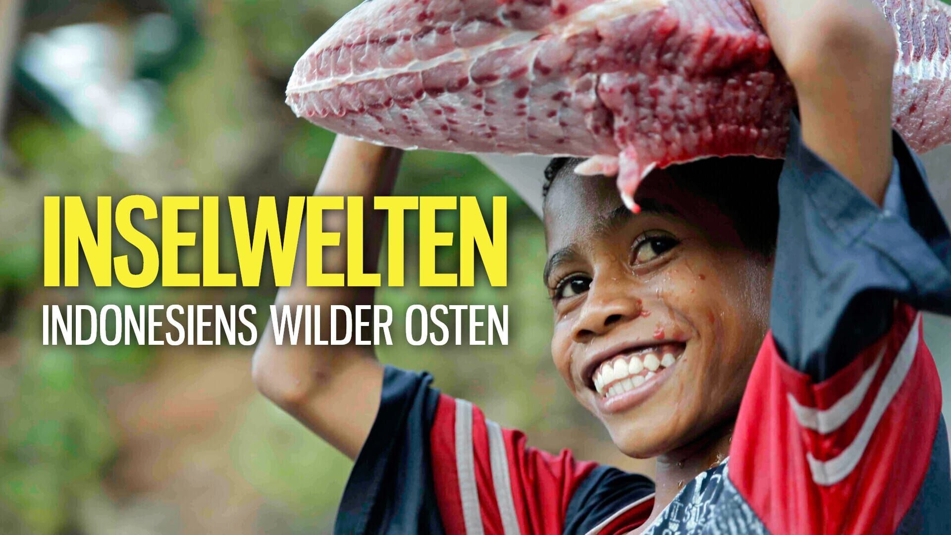 Inselwelten. Indonesiens wilder Osten