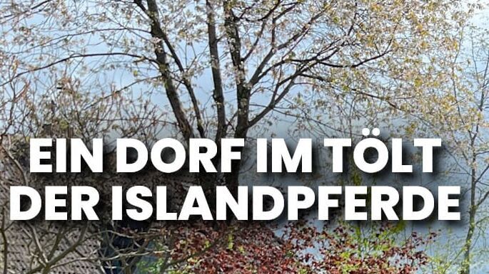 Ein Dorf im Tölt der Islandpferde