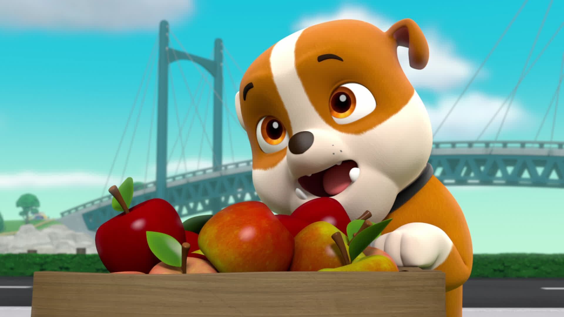 PAW Patrol – Helfer auf vier Pfoten