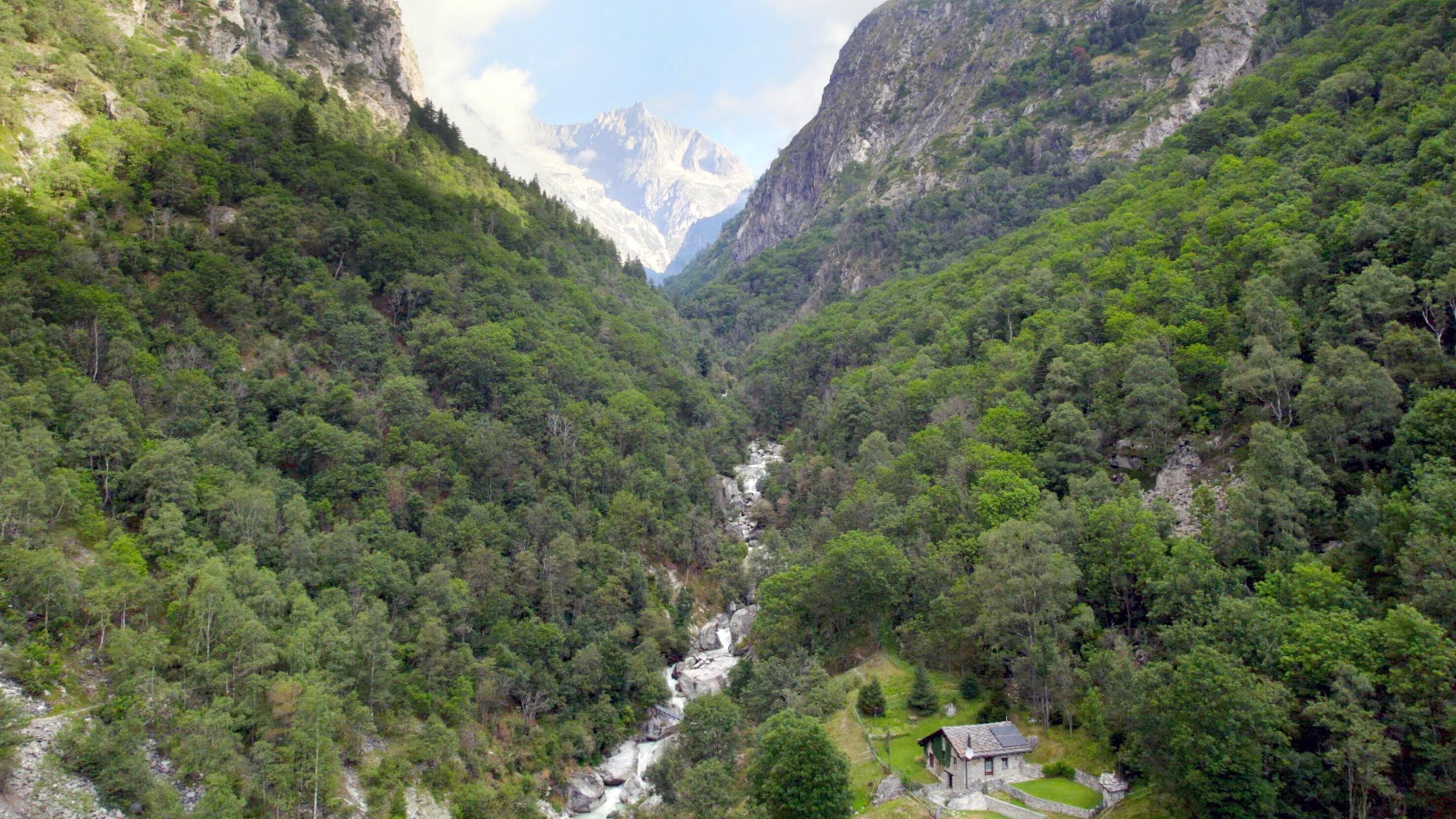 Wilde Schweiz II: Die Jungfrau-Region