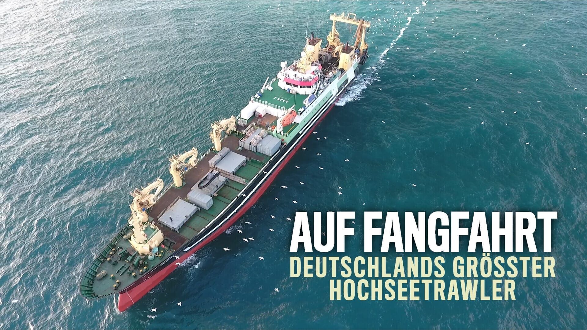 Auf Fangfahrt – Der Hochseetrawler