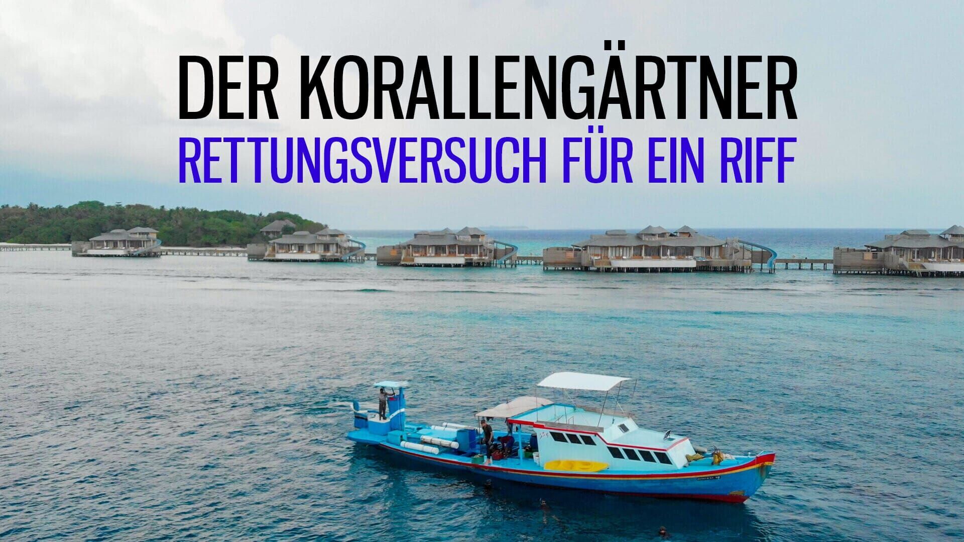 Der Korallengärtner – Rettungsversuch für ein Riff