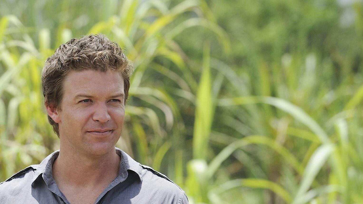 The Glades