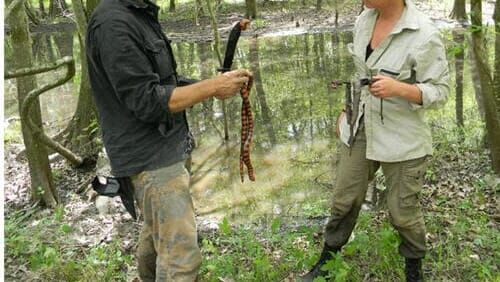 Meine Frau, die Wildnis und ich