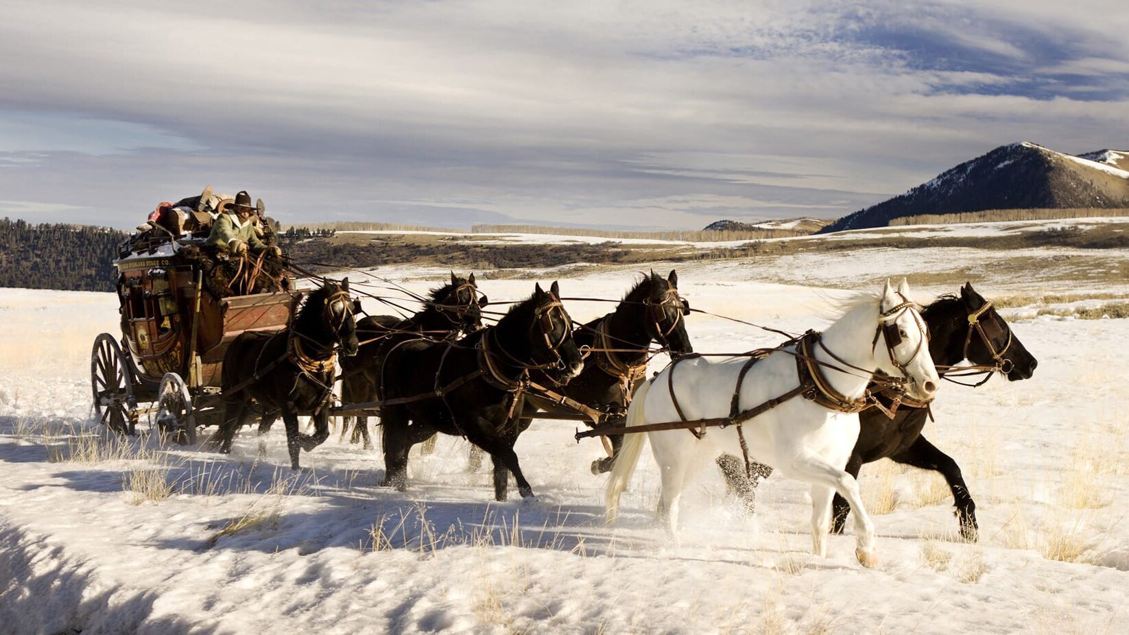 The Hateful 8
