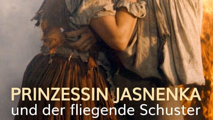 Die Prinzessin und der fliegende Schuster