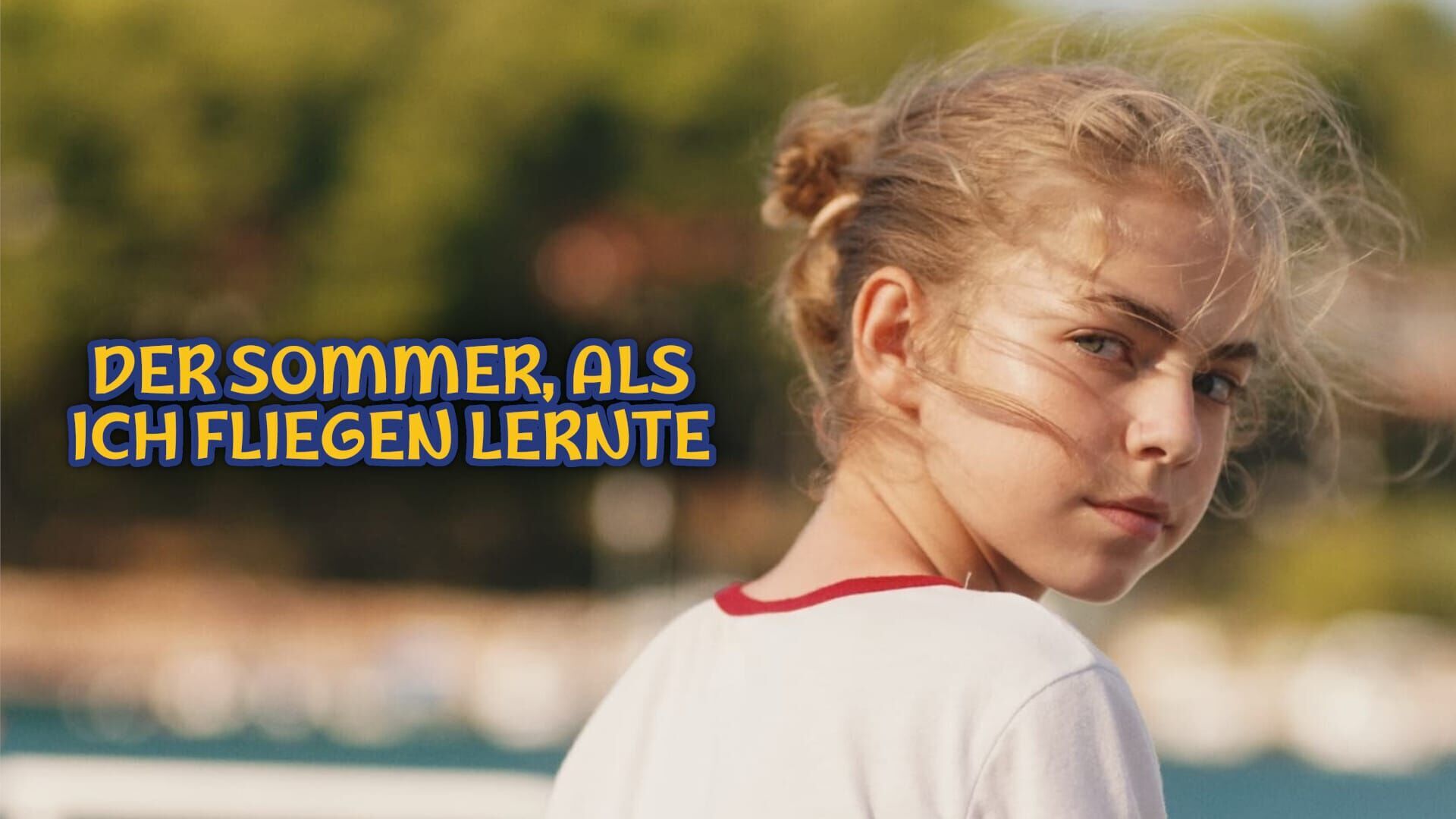 Der Sommer, als ich fliegen lernte