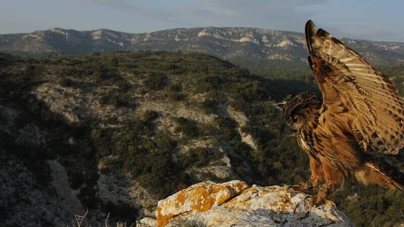 Frankreich – Wild und schön