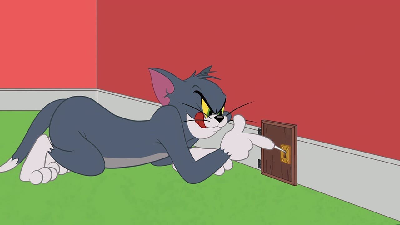 Die Tom und Jerry Show