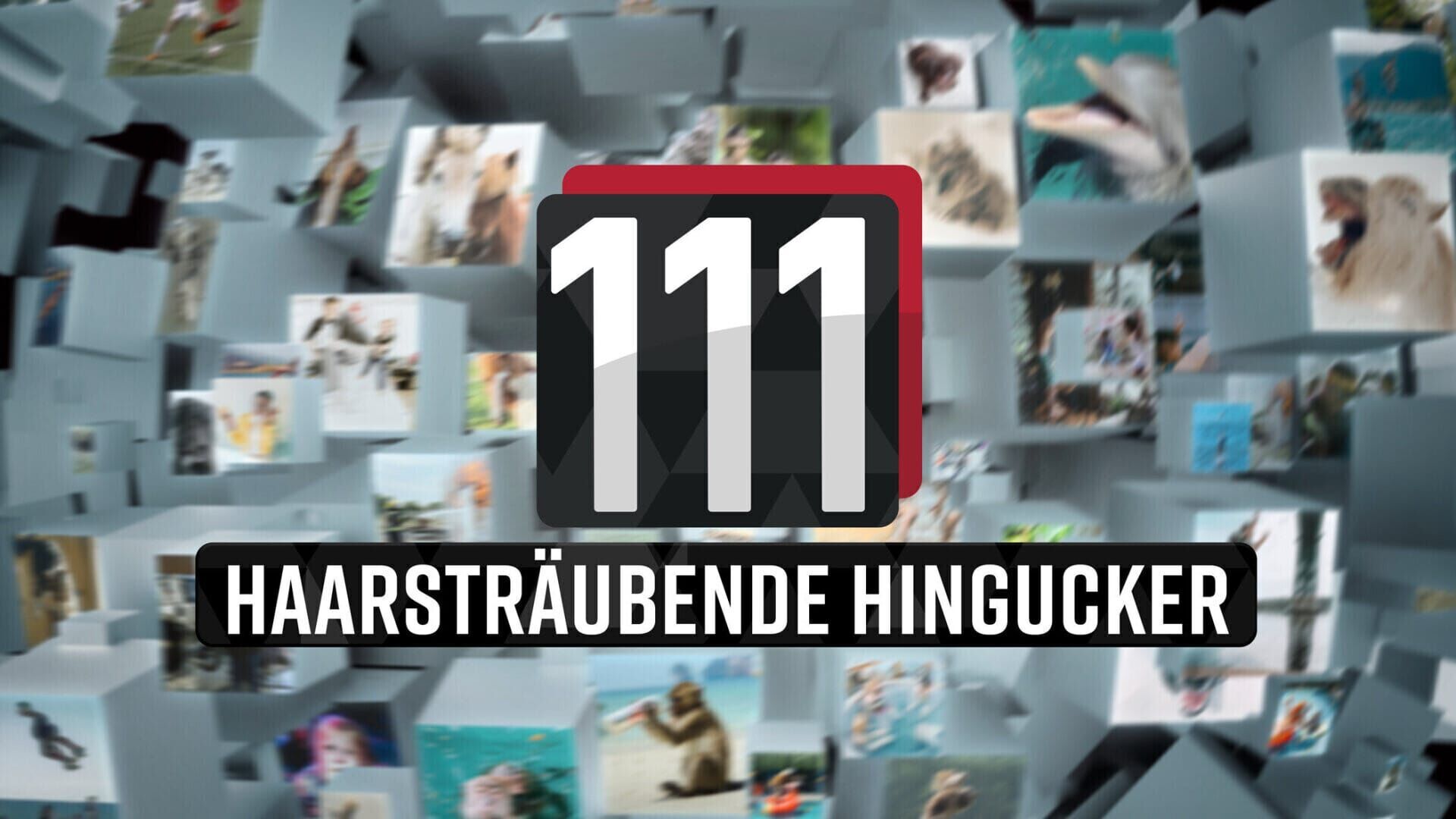 111 haarsträubende Hingucker!