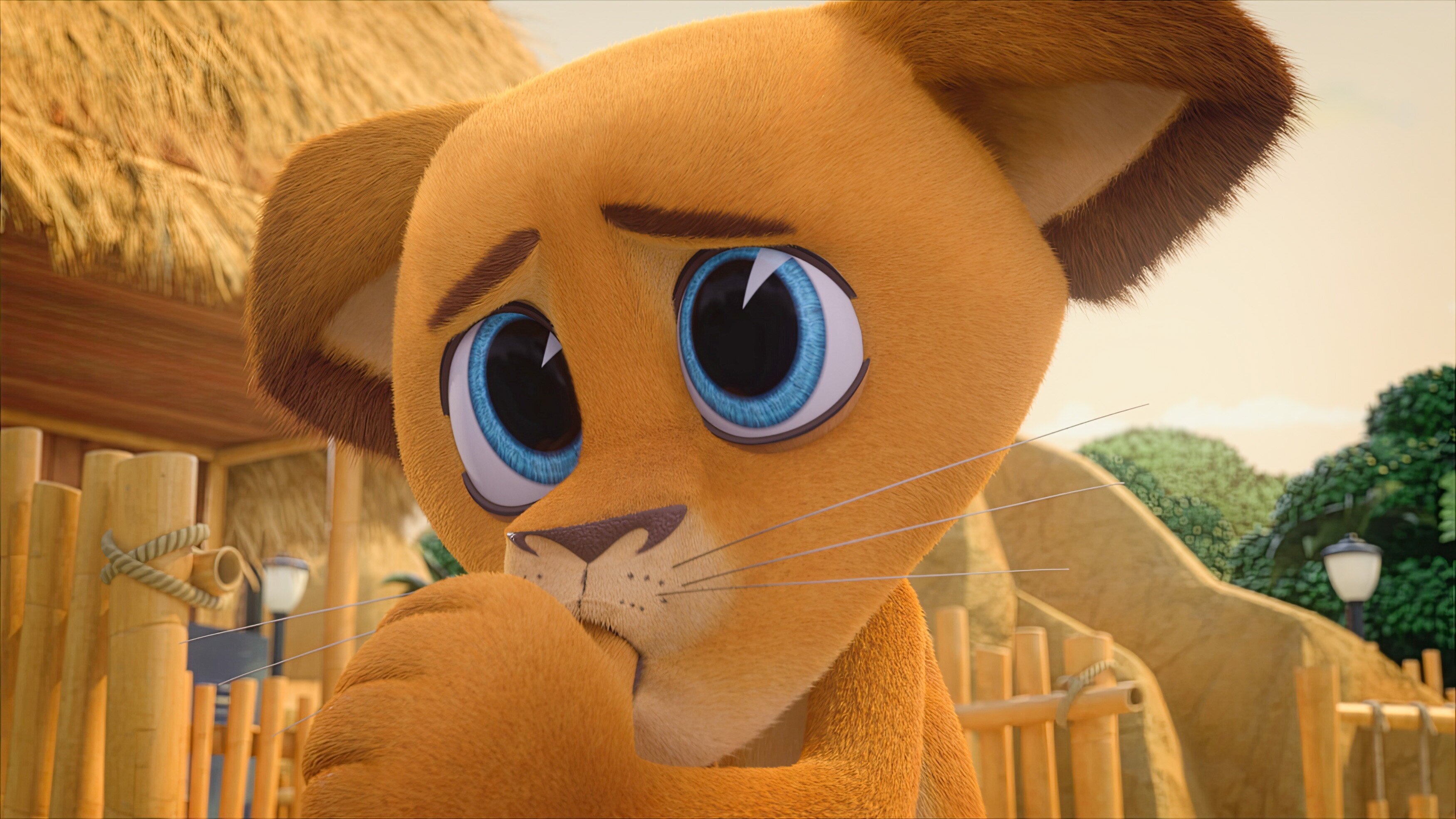 Madagascar – Die kleine Wildnis