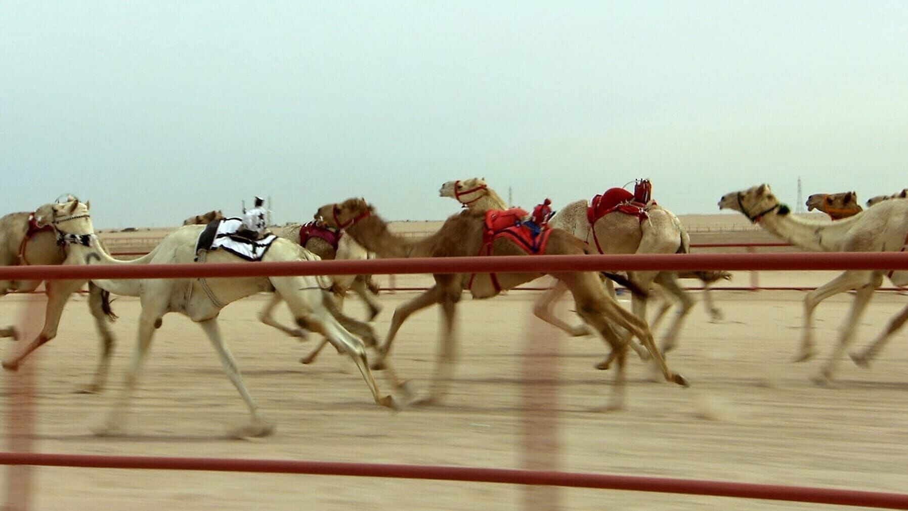 Unbekanntes Arabien