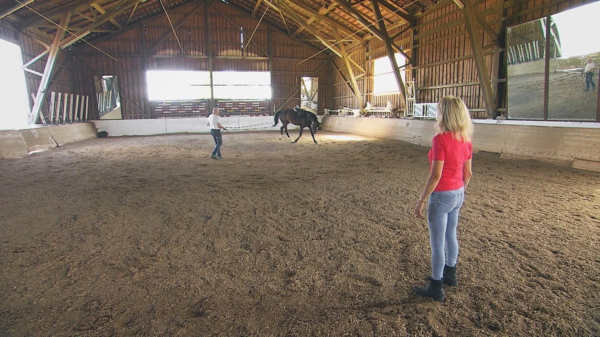 Bauer sucht Frau