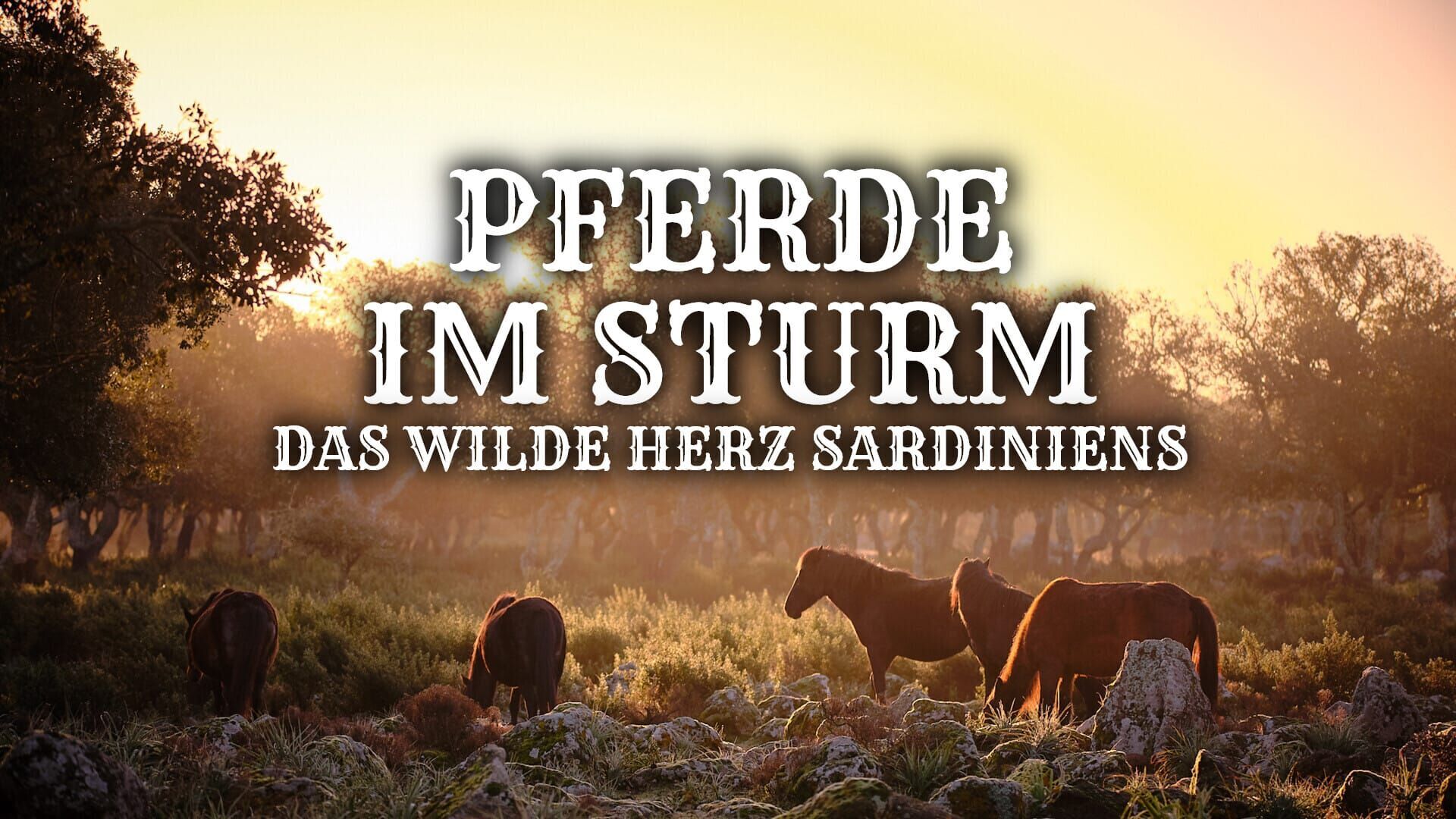 Pferde im Sturm – Das wilde Herz Sardiniens