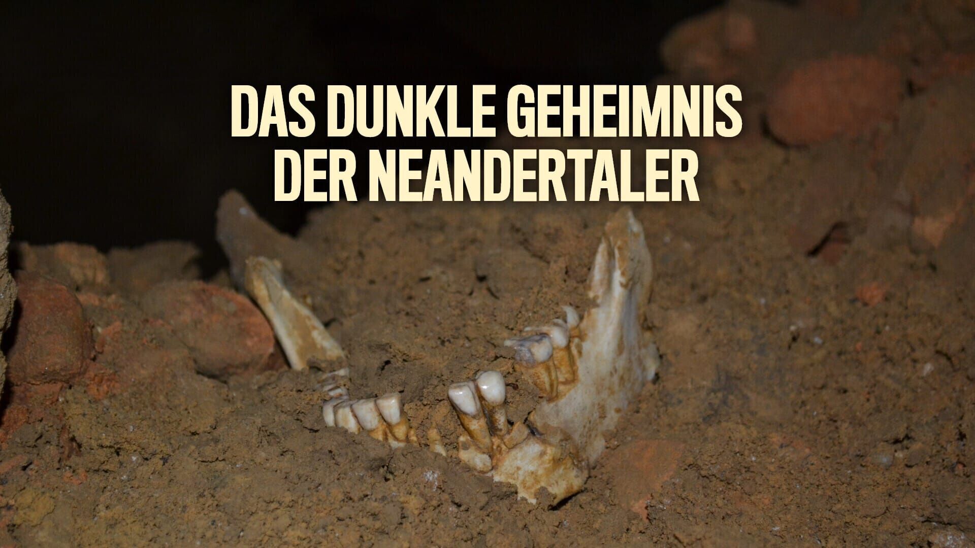 Das dunkle Geheimnis der Neandertaler