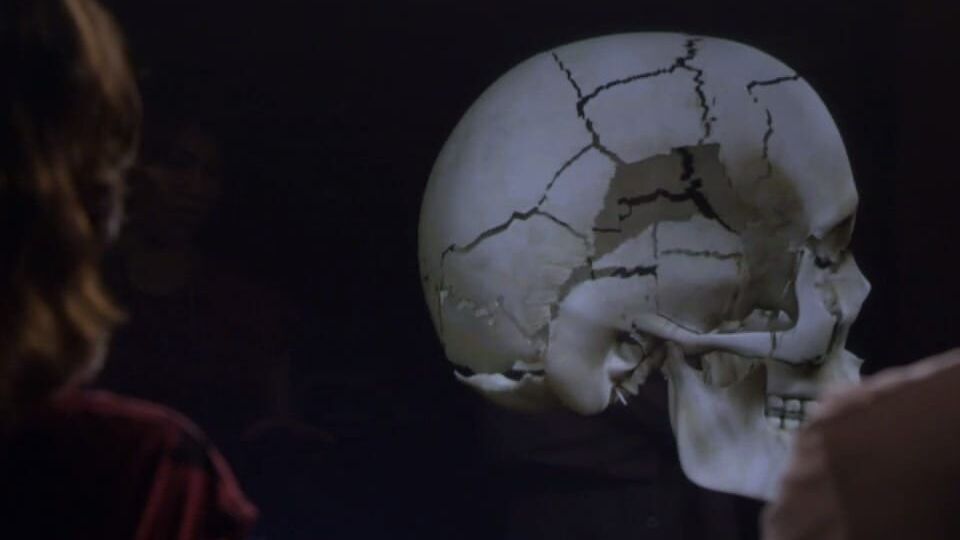 Bones – Die Knochenjägerin