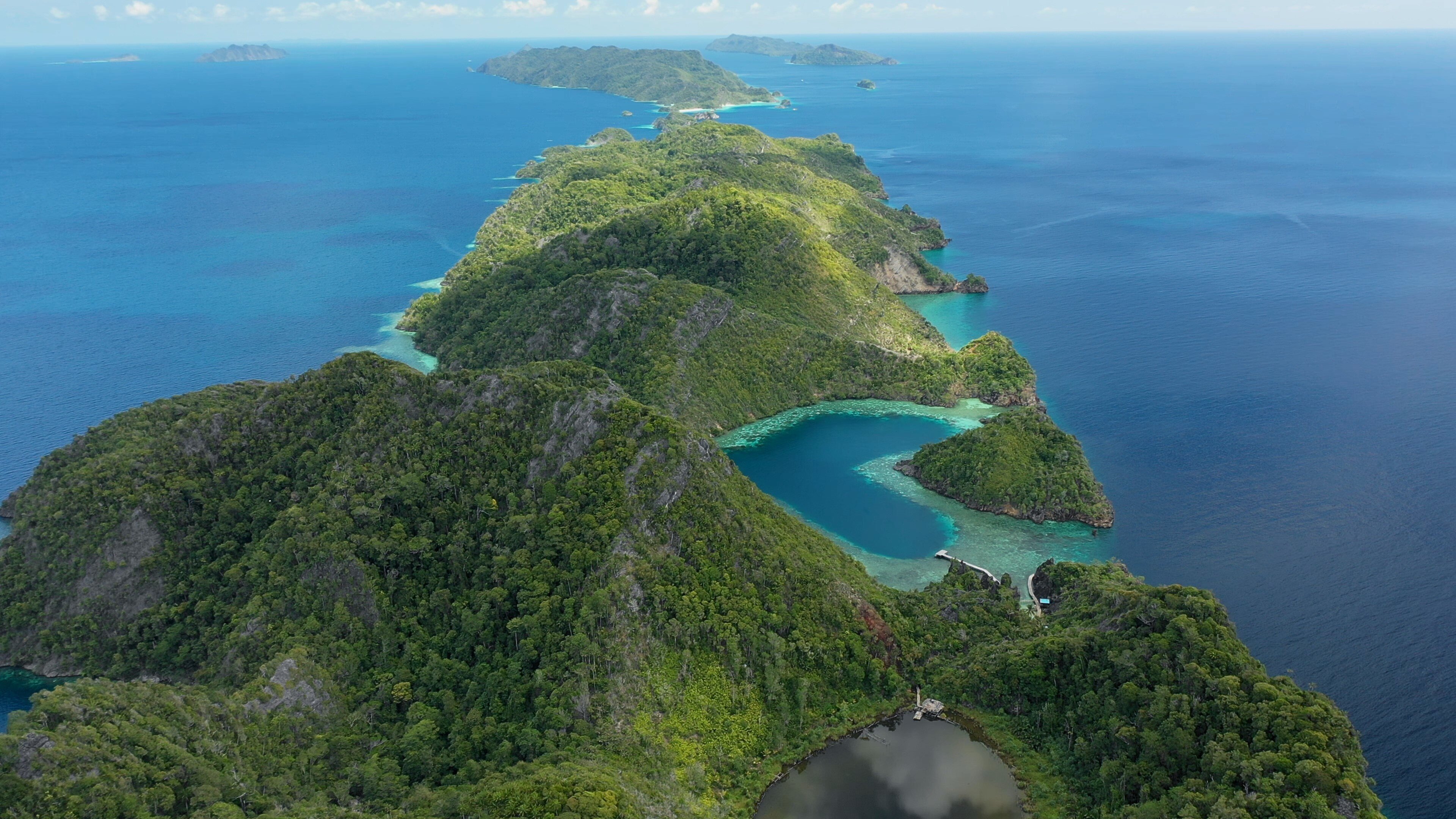 Into the Blue – Indonesiens Unterwasserparadiese: Im Archipel Raja Ampat