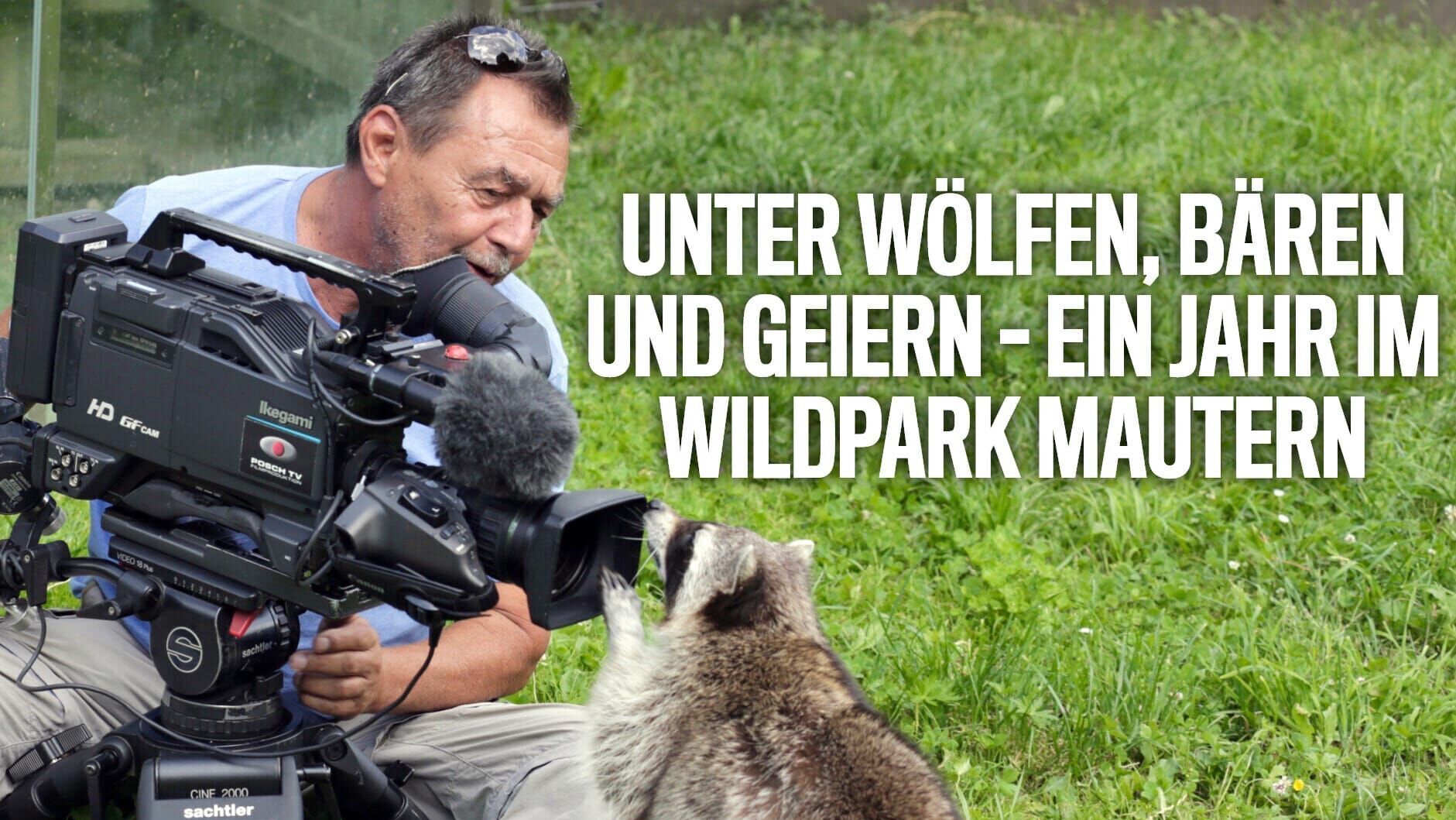 Unter Wölfen, Bären und Geiern – Ein Jahr im Wildpark Mautern