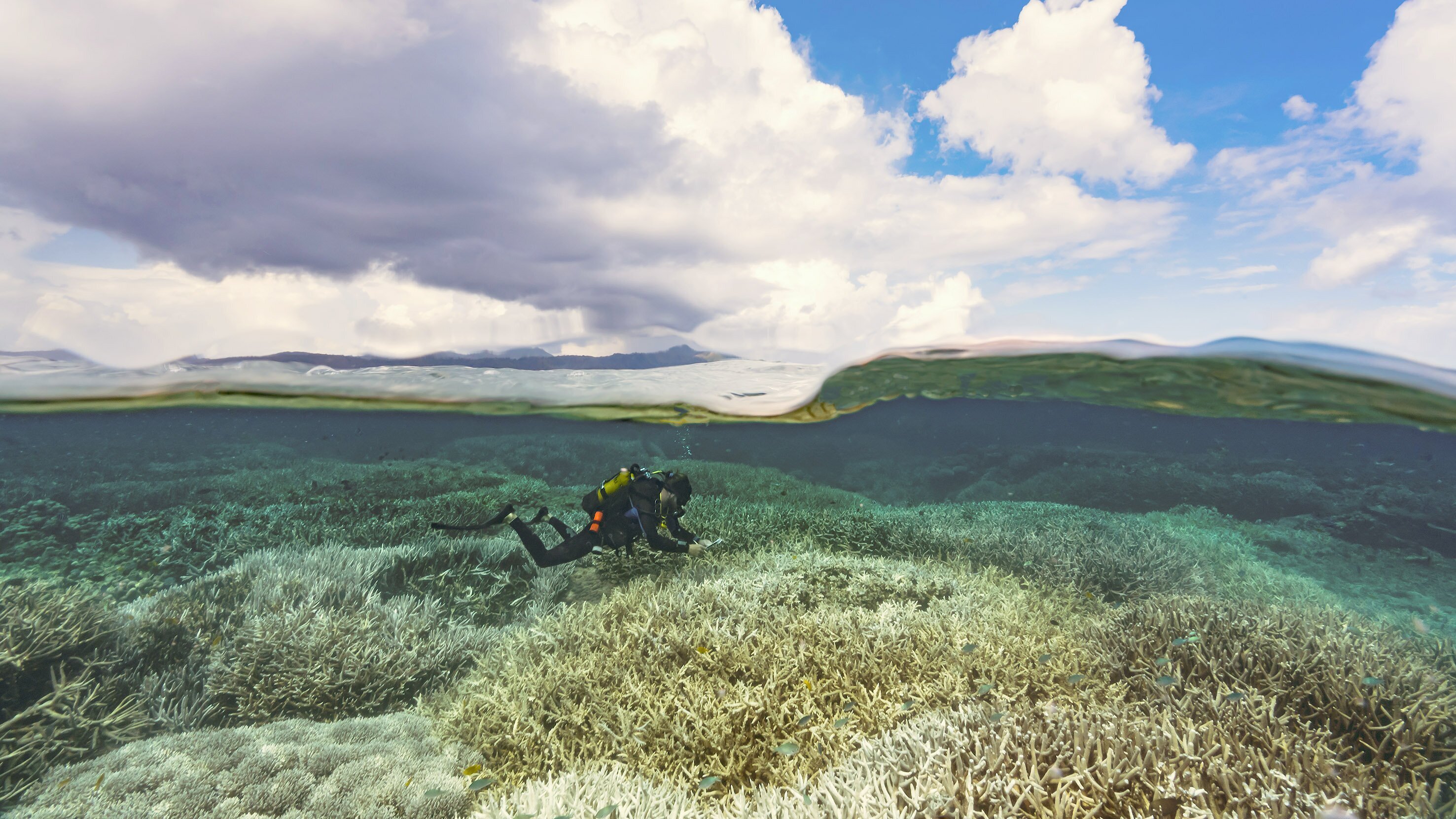 Die Wächter des Great Barrier Reef