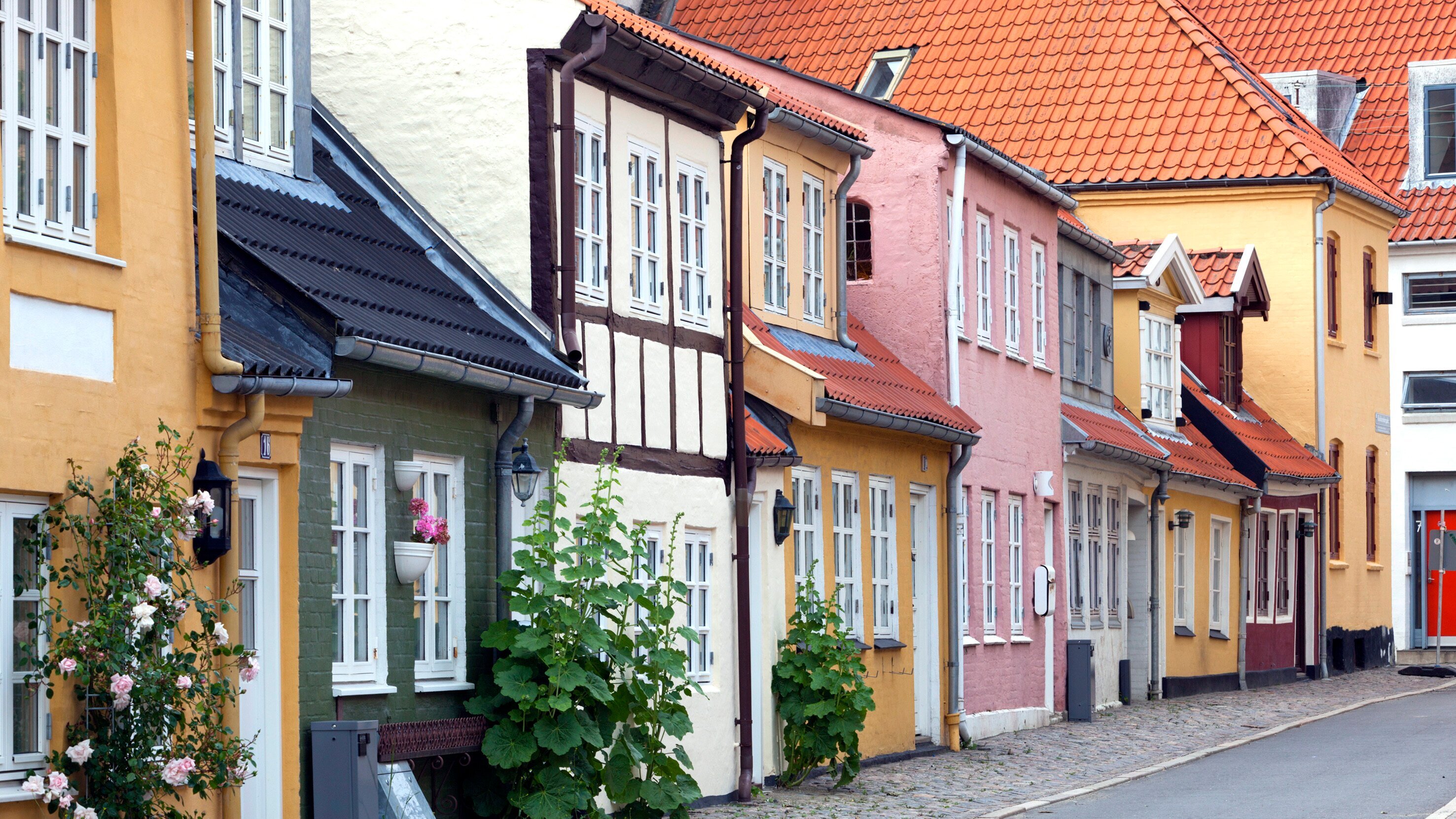 Wunderschön